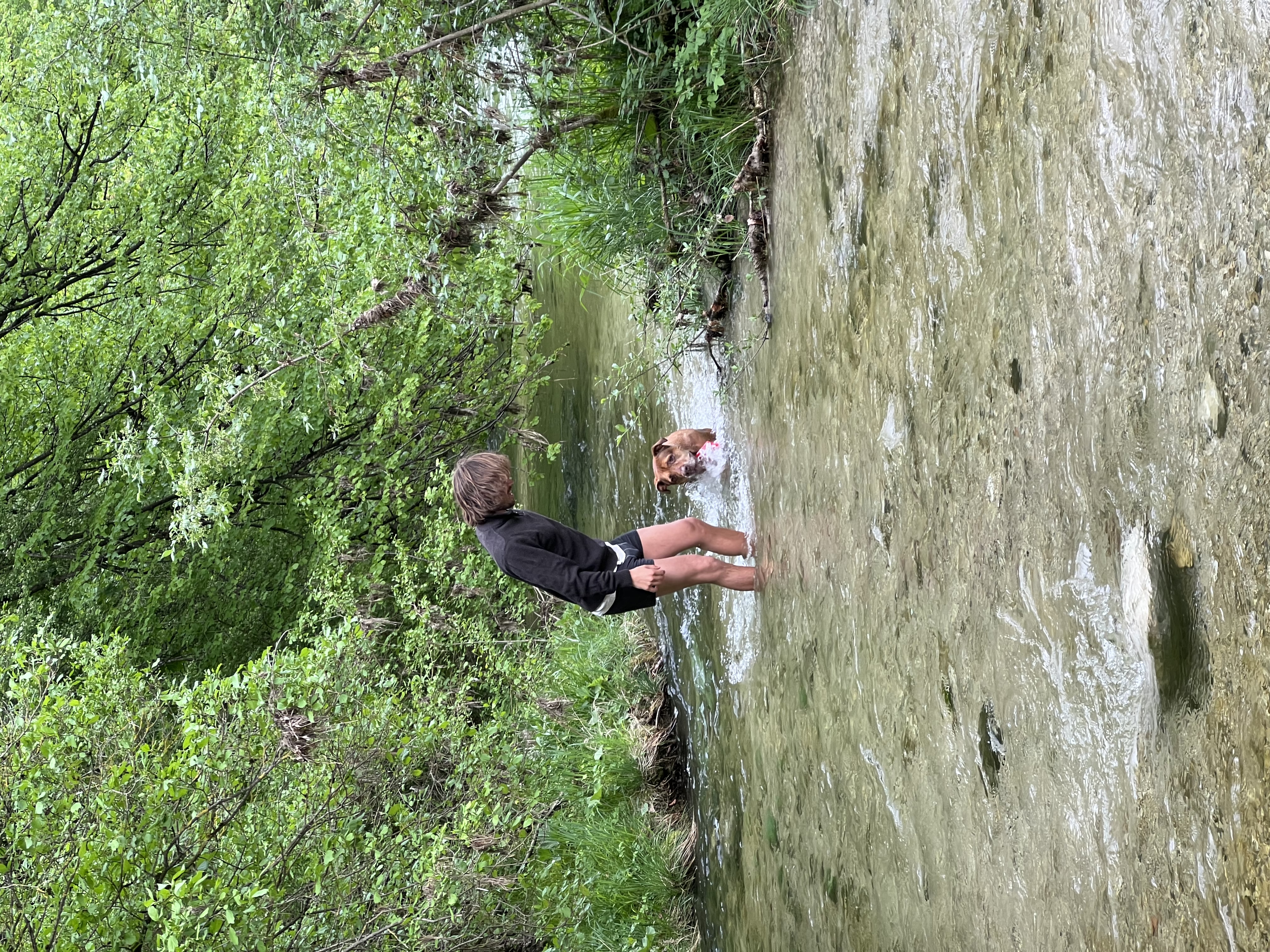 image-13