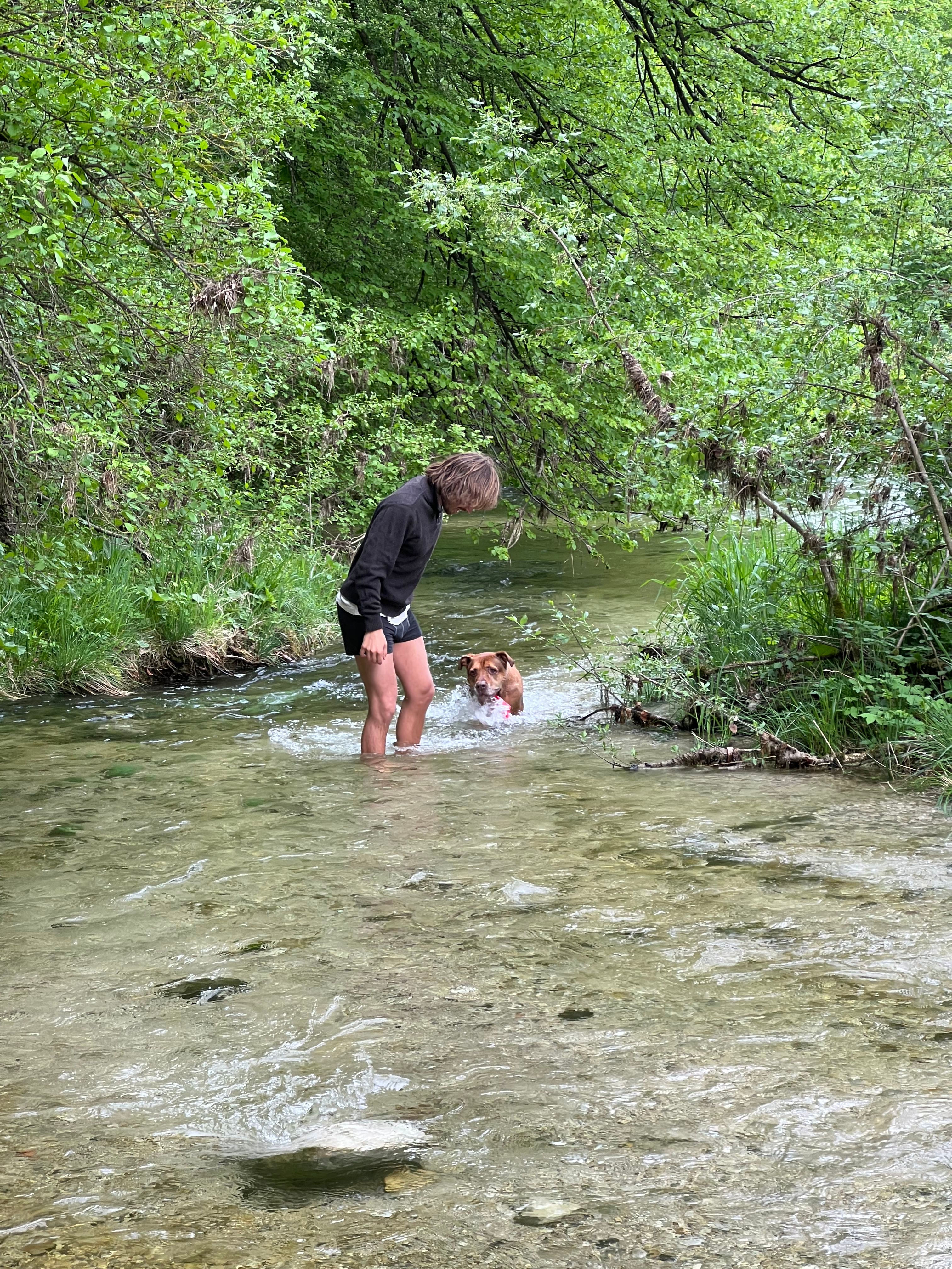 image-13