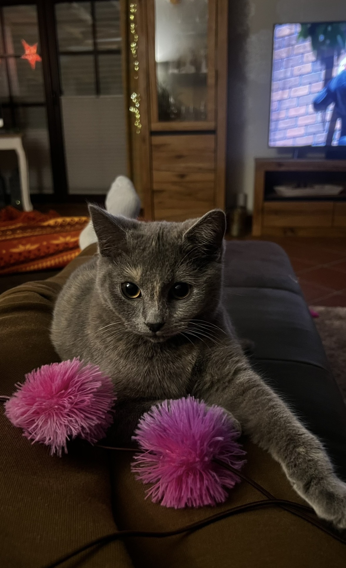 image-6