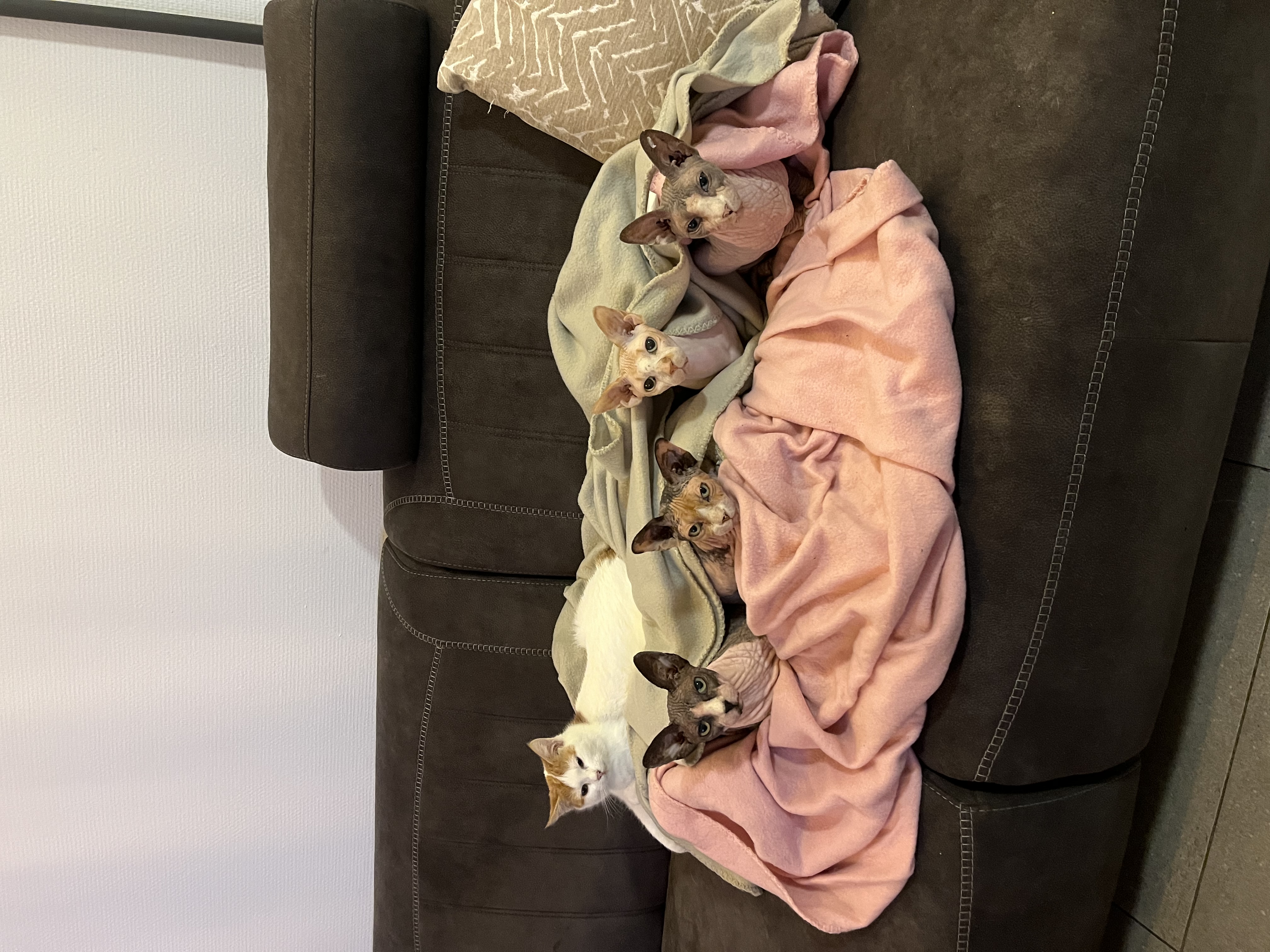 image-13