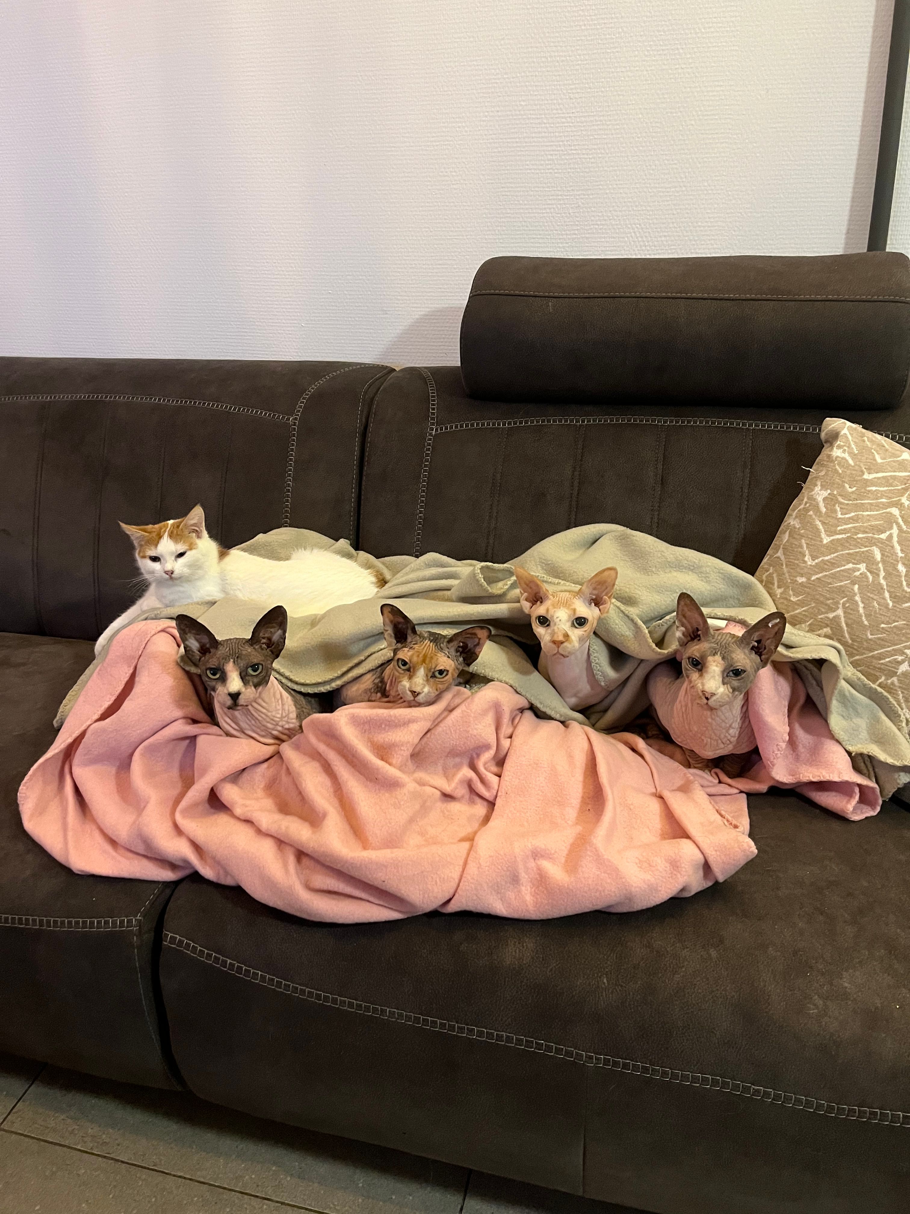image-13