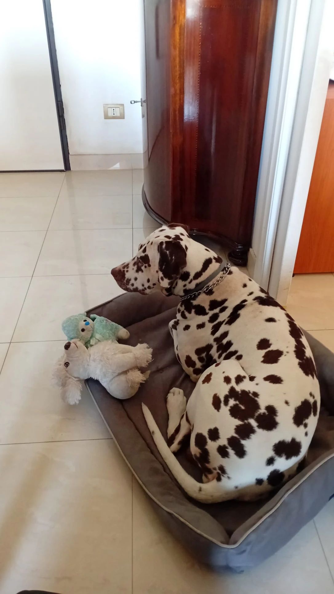 image-16