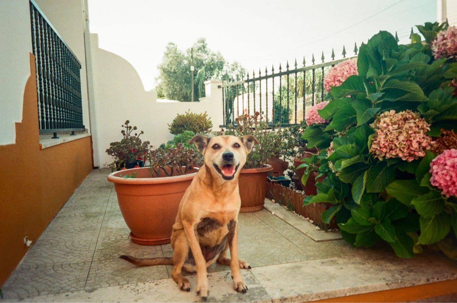 image-4
