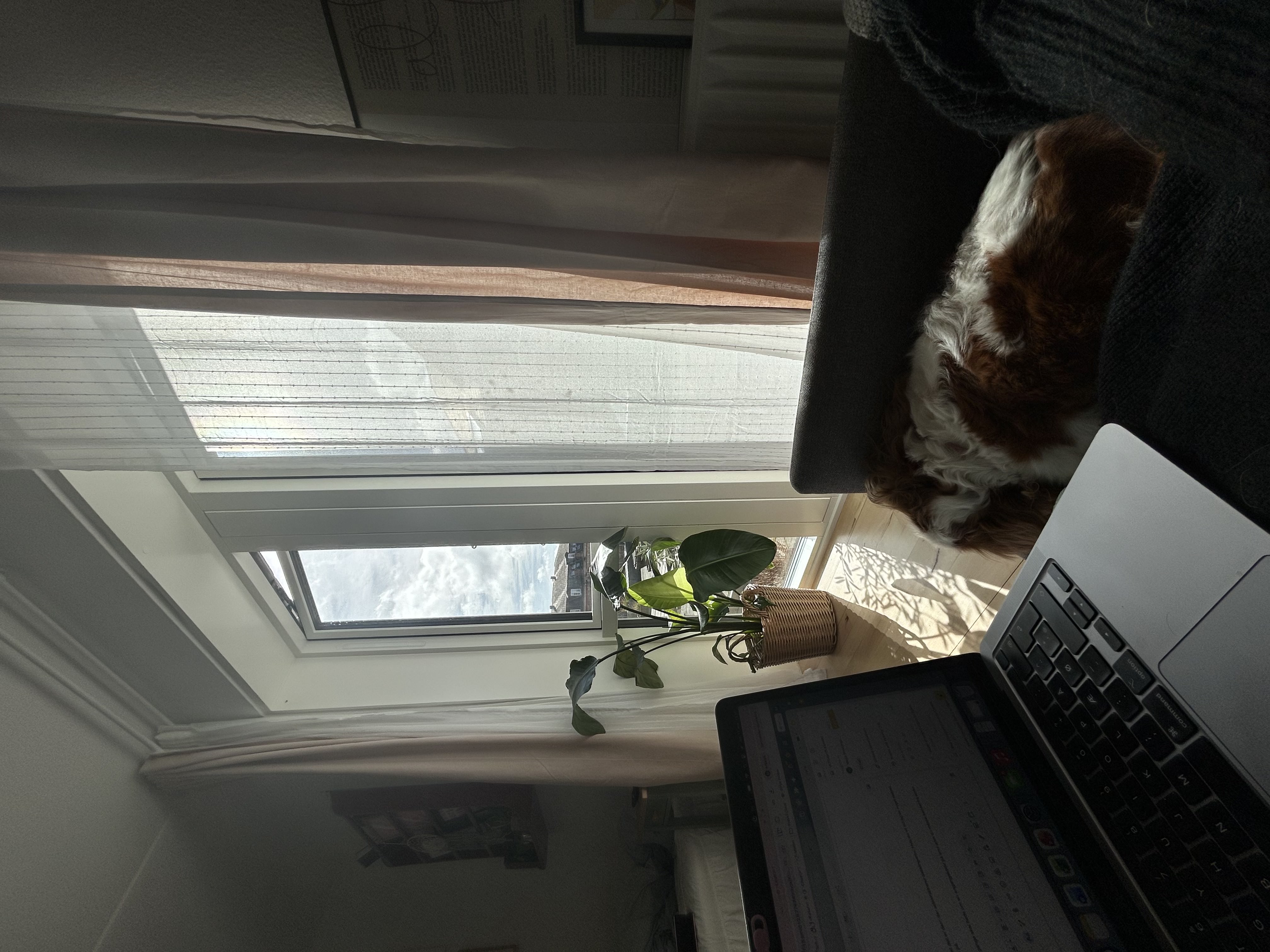 image-16