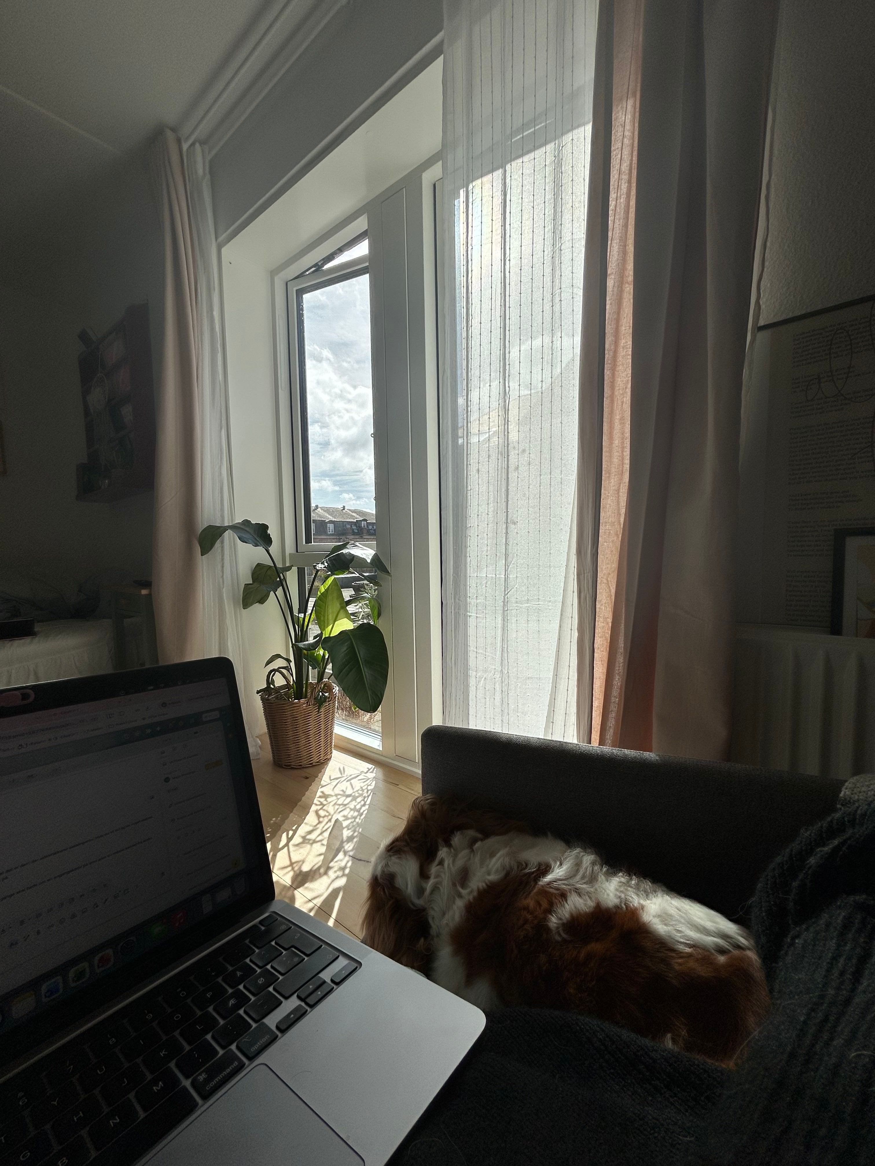 image-16