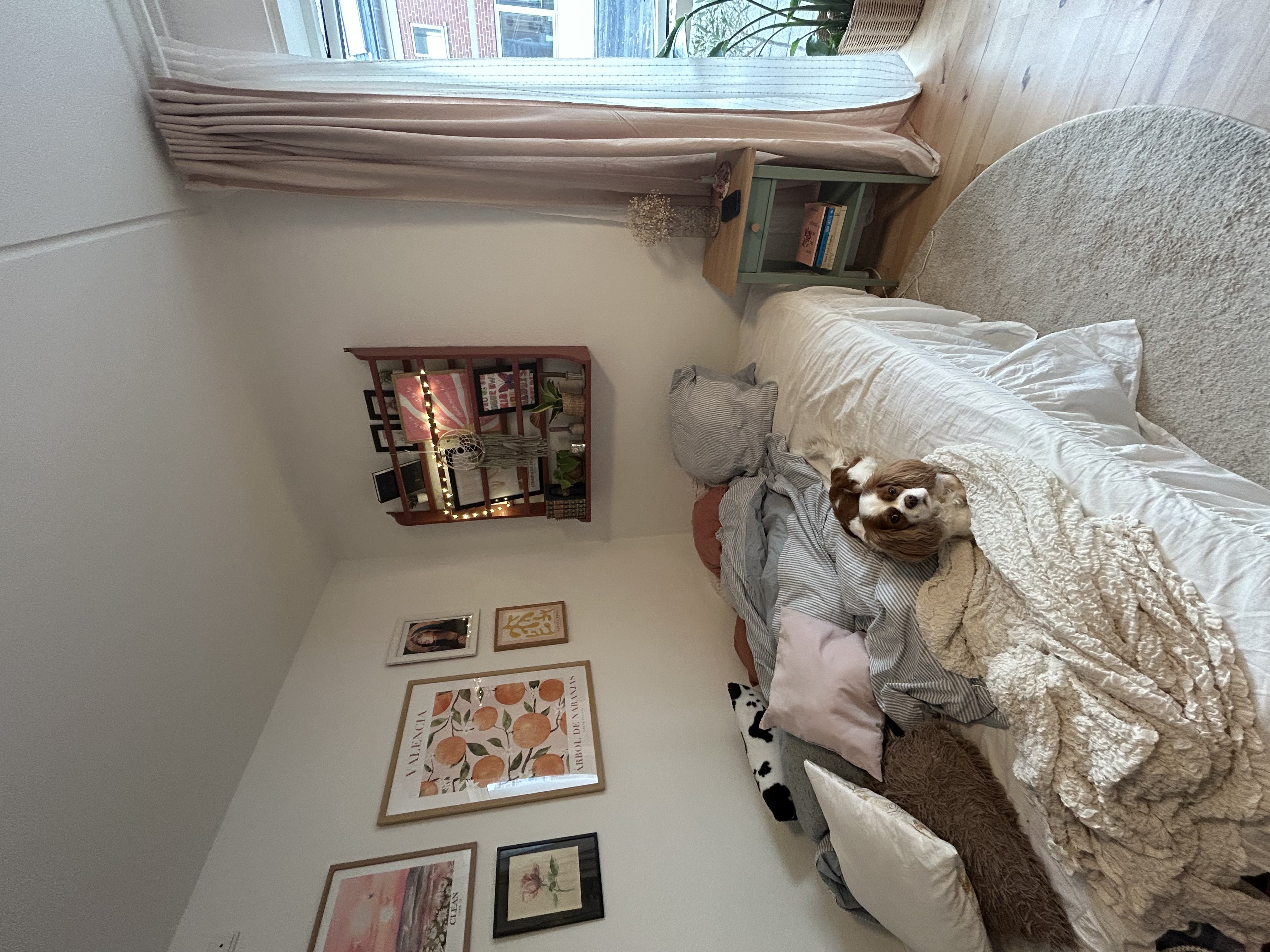 image-14