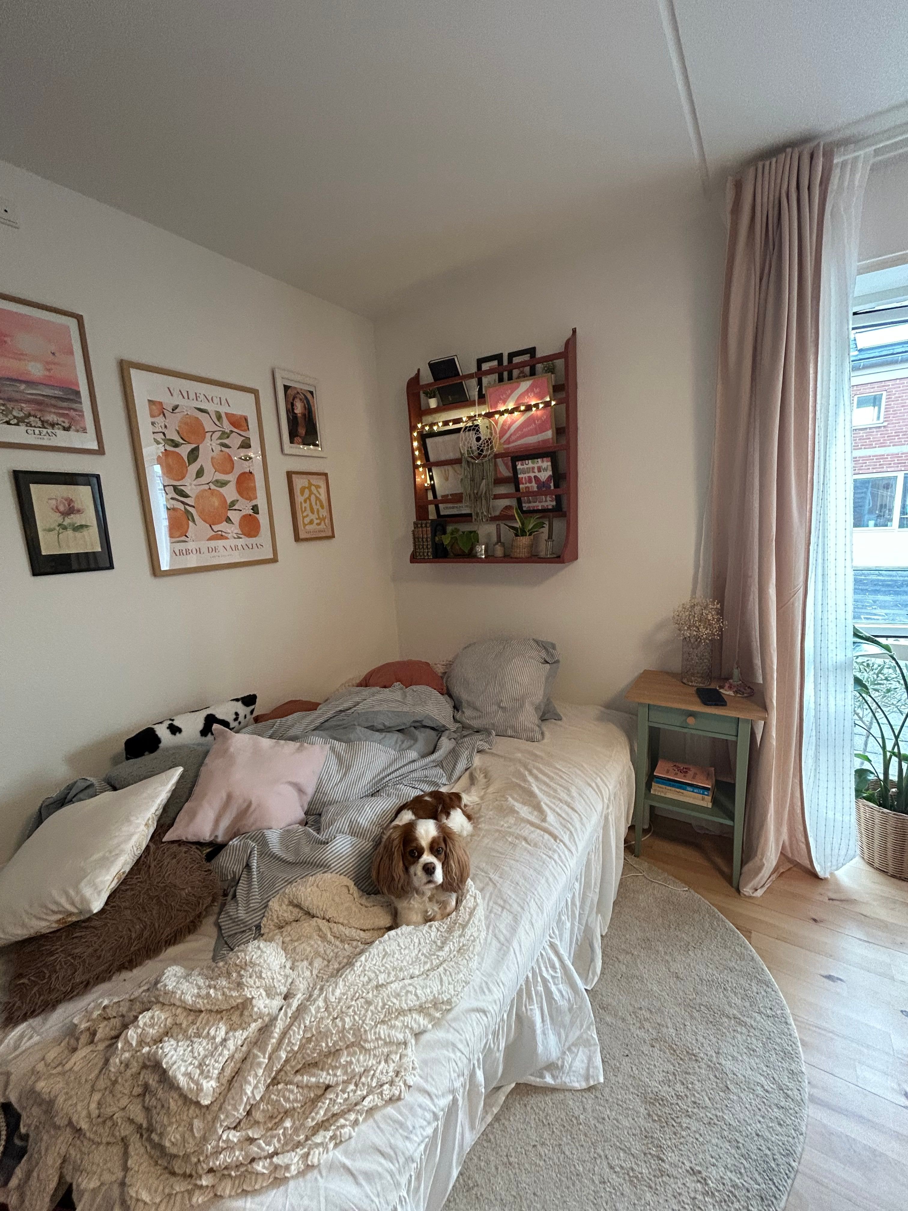 image-14