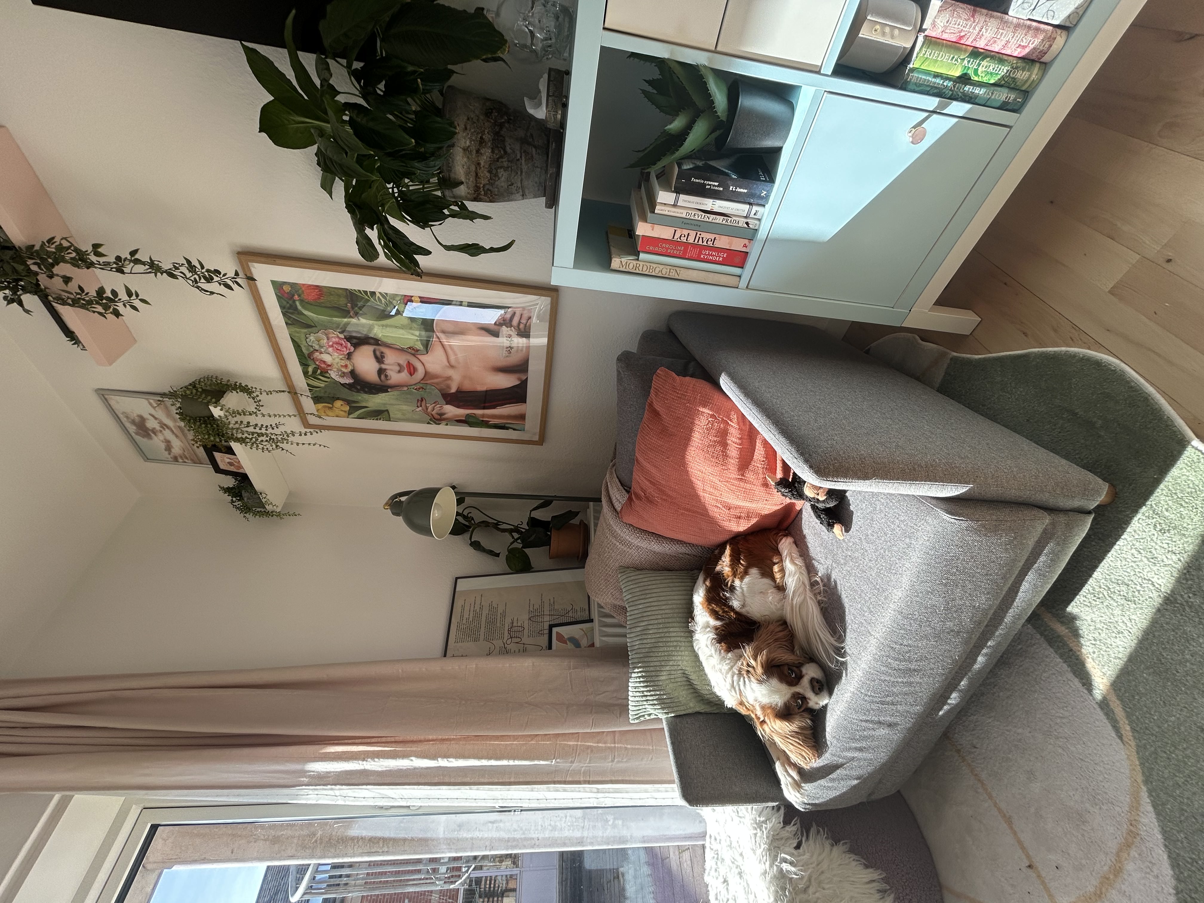 image-15