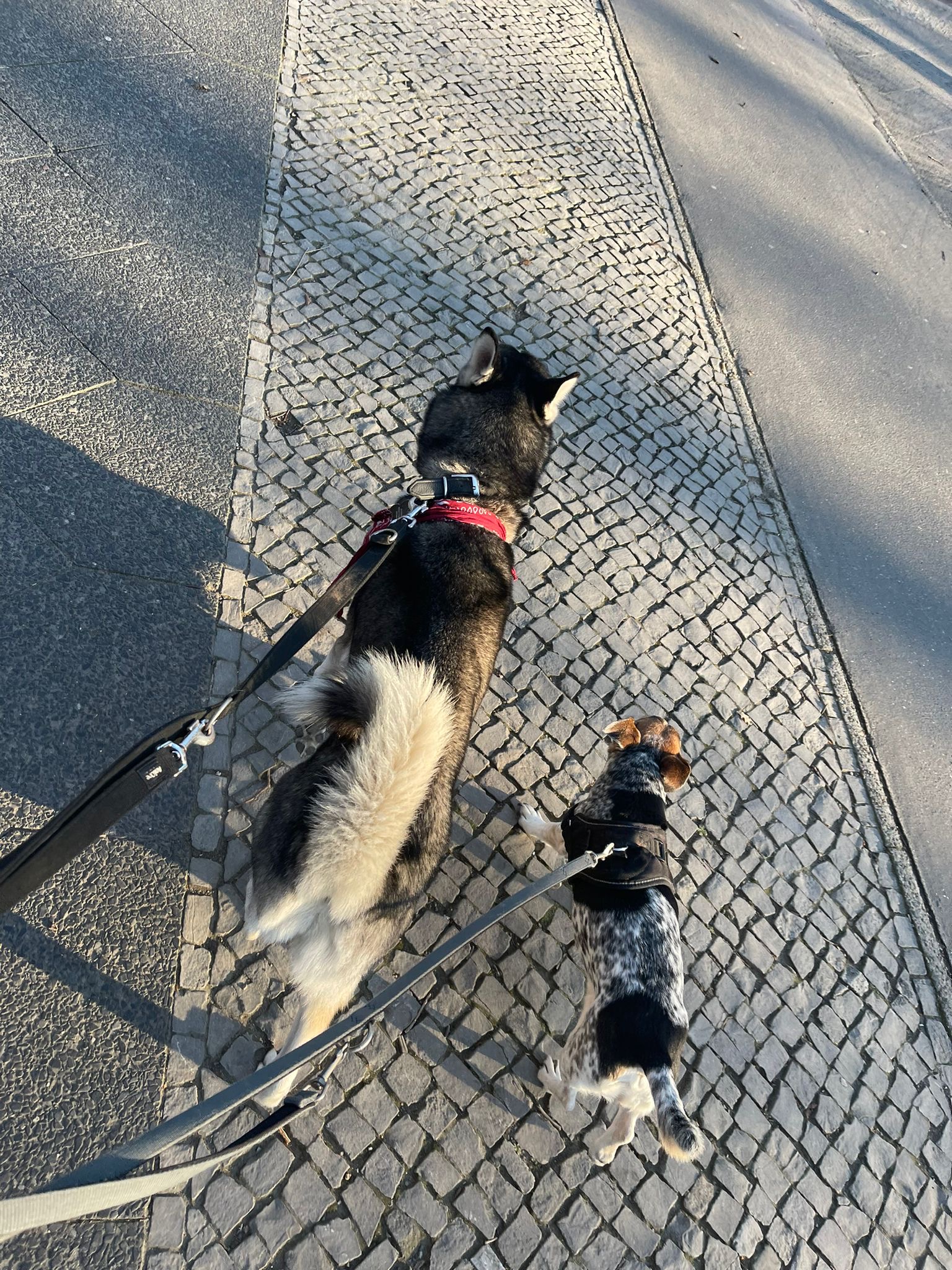 image-7