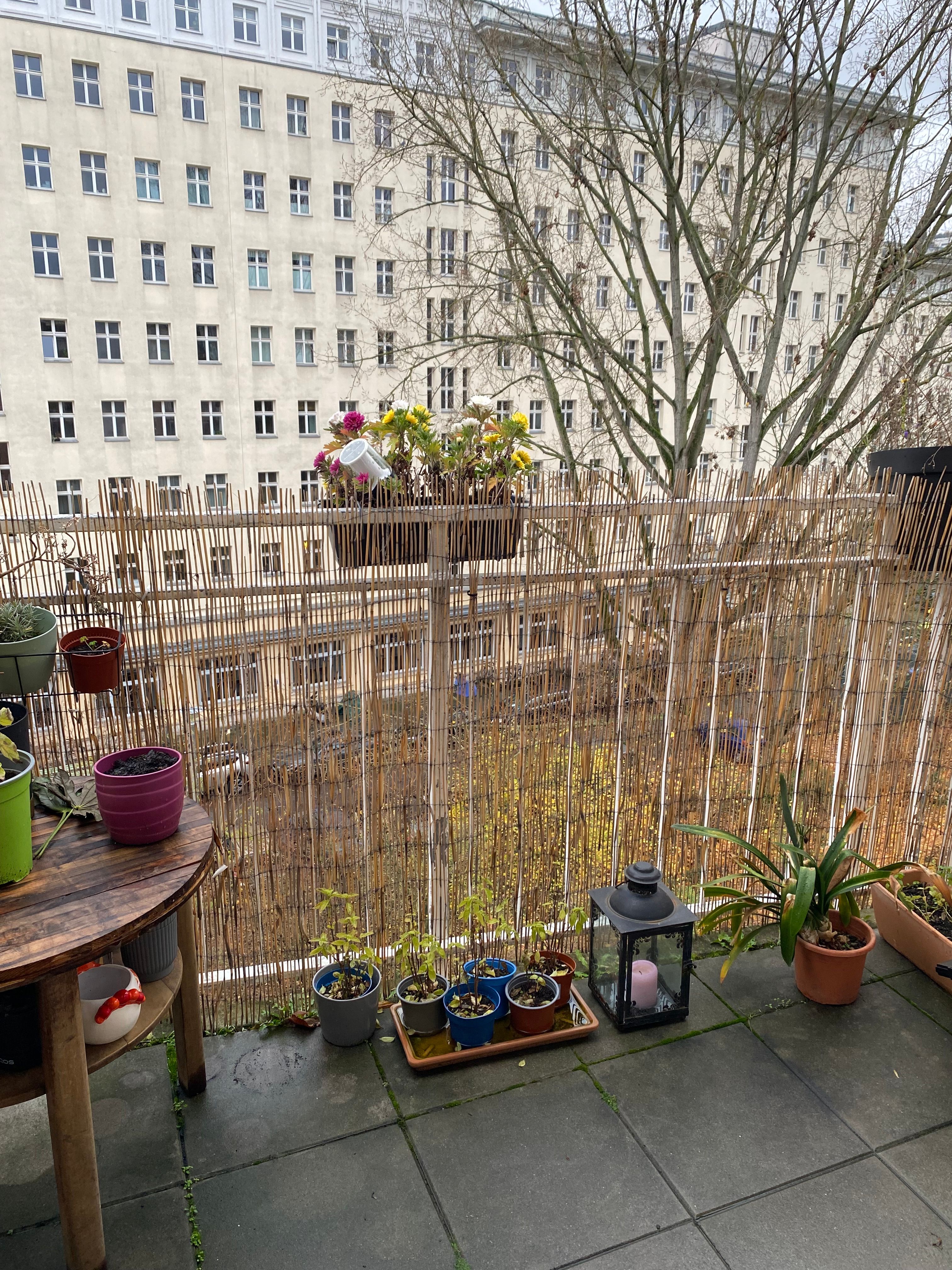 image-14