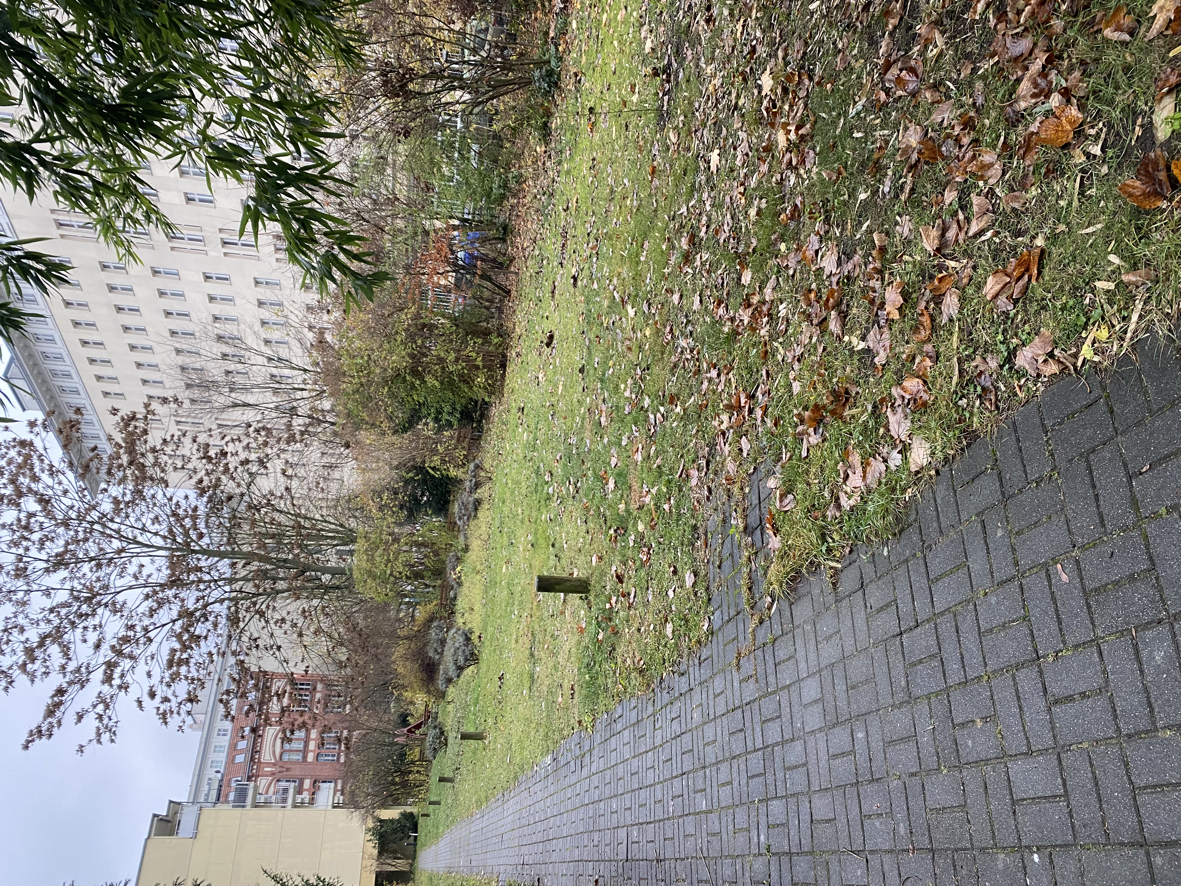 image-15