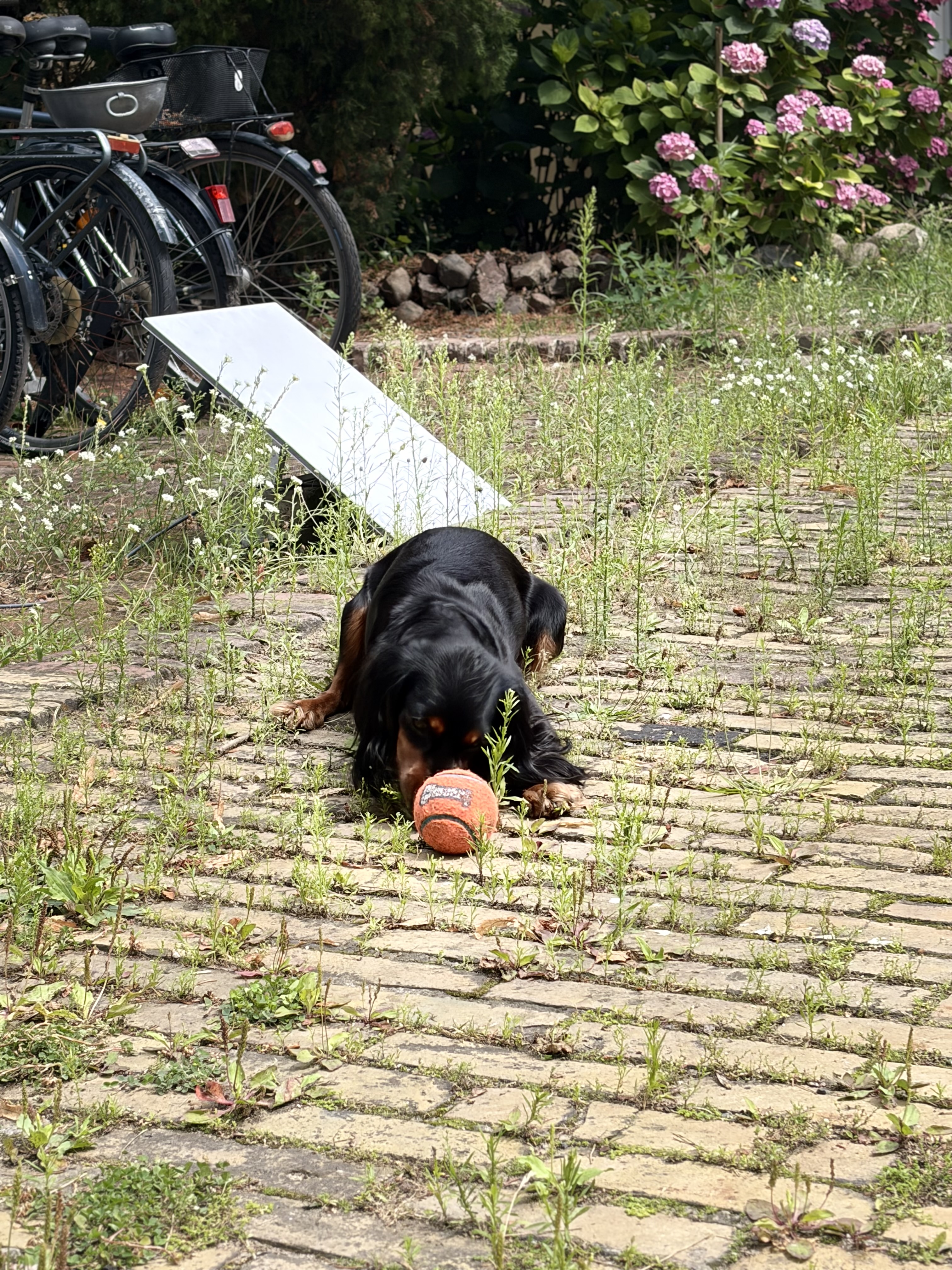 image-27