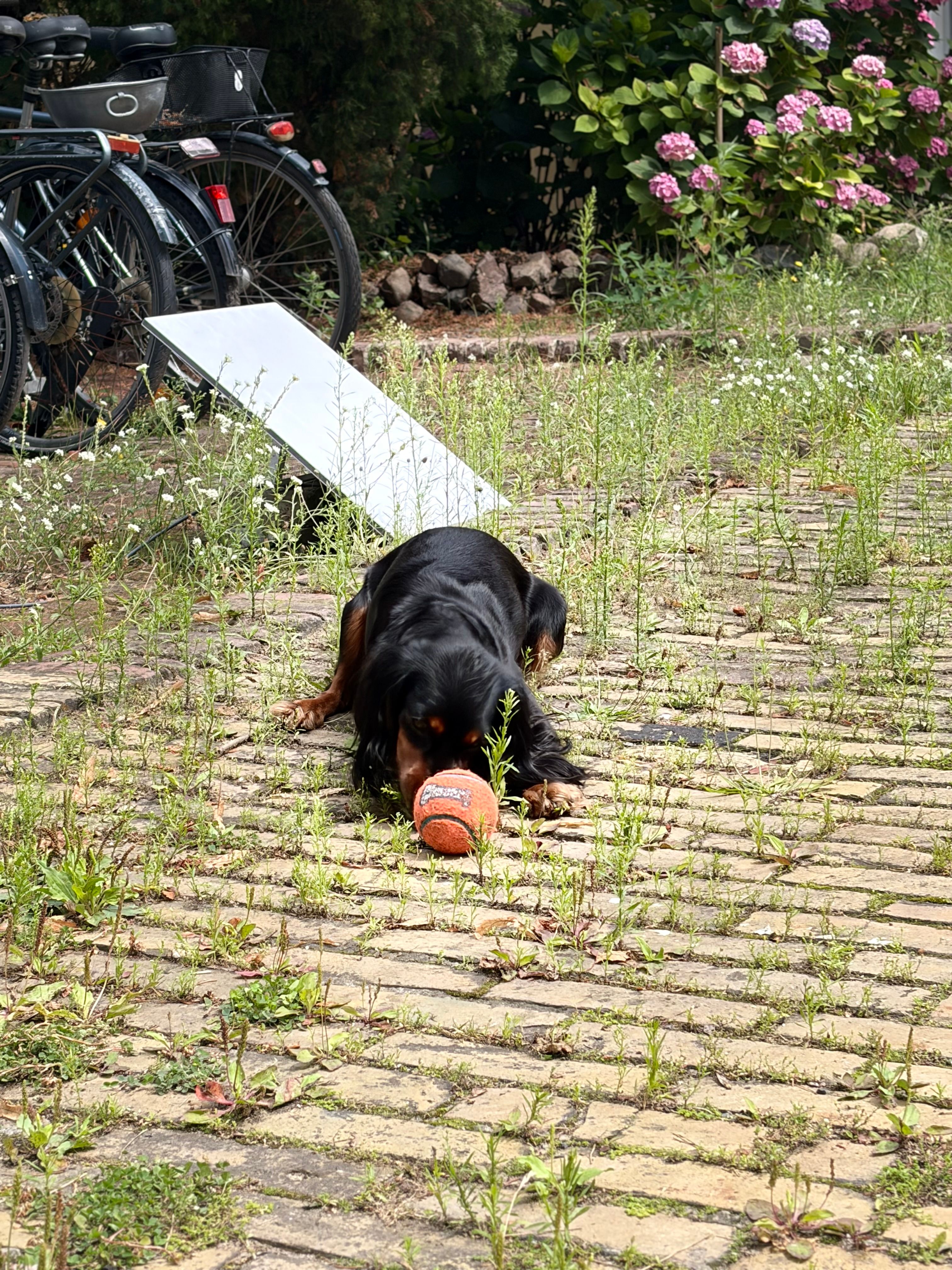 image-27