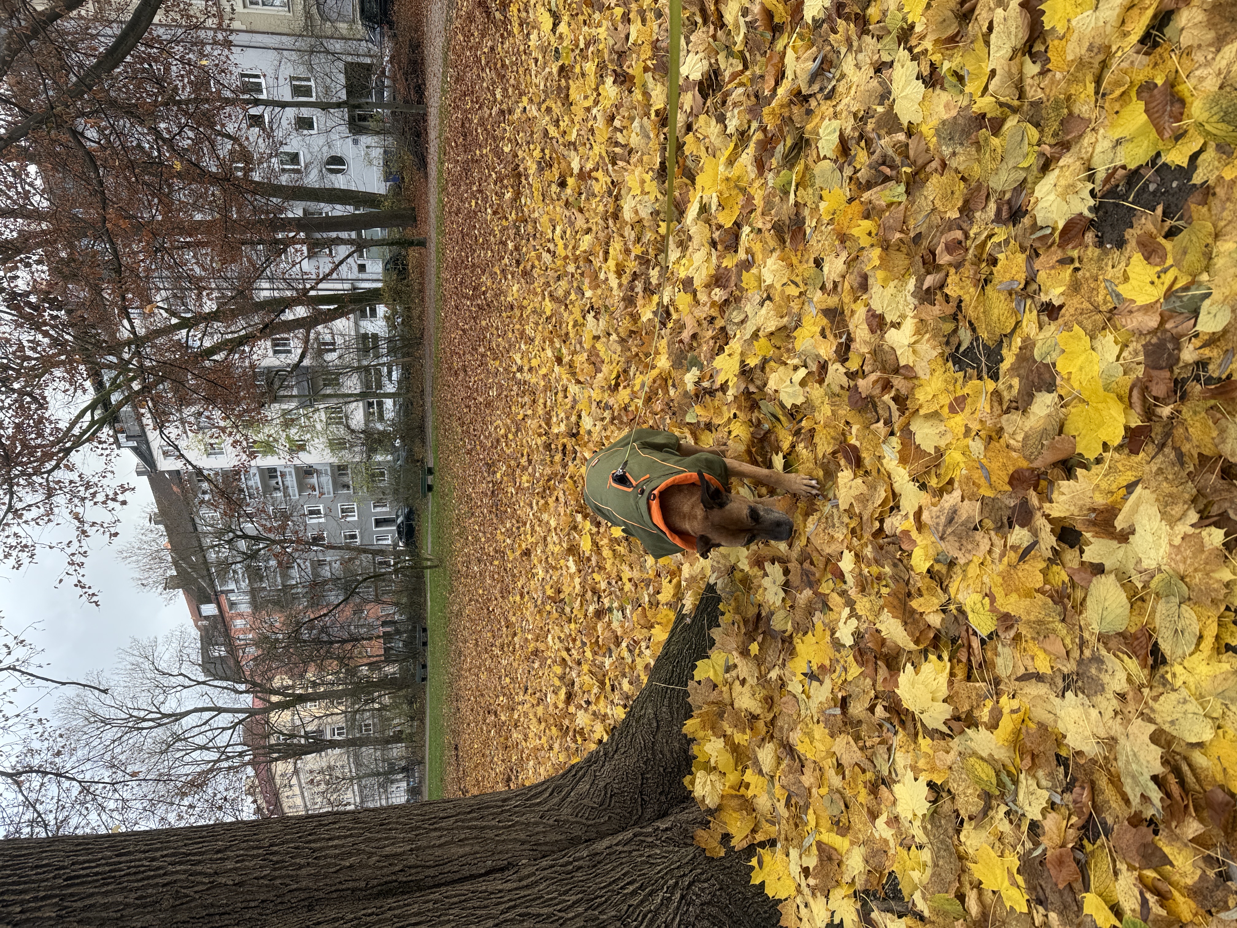 image-20