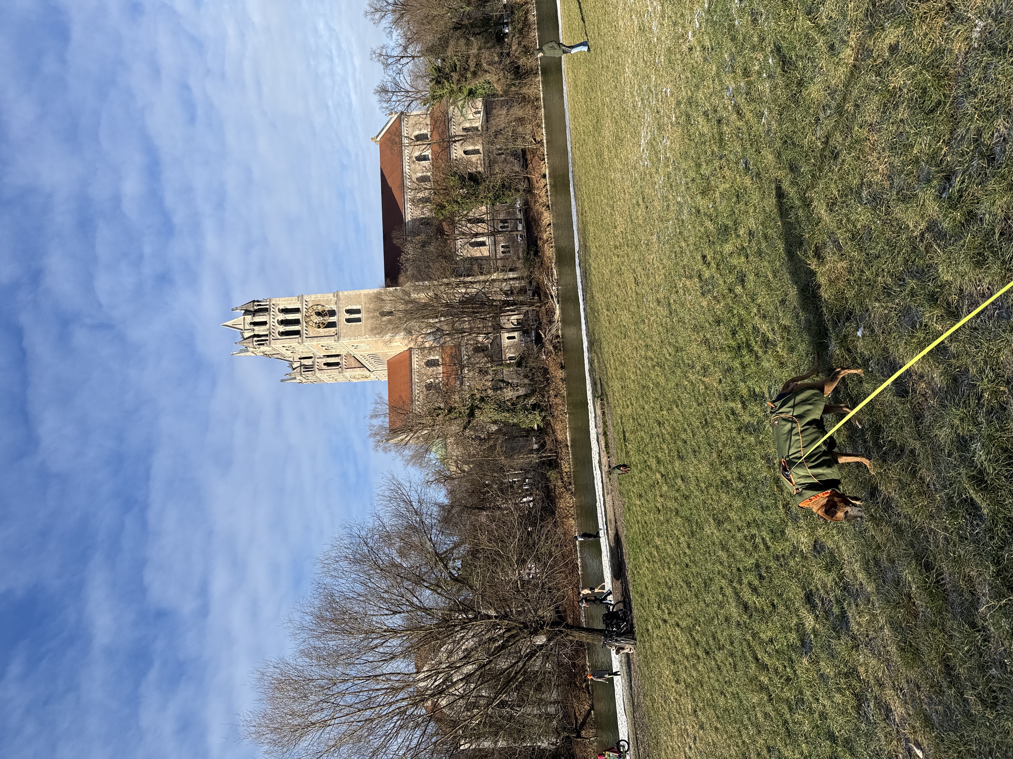 image-17