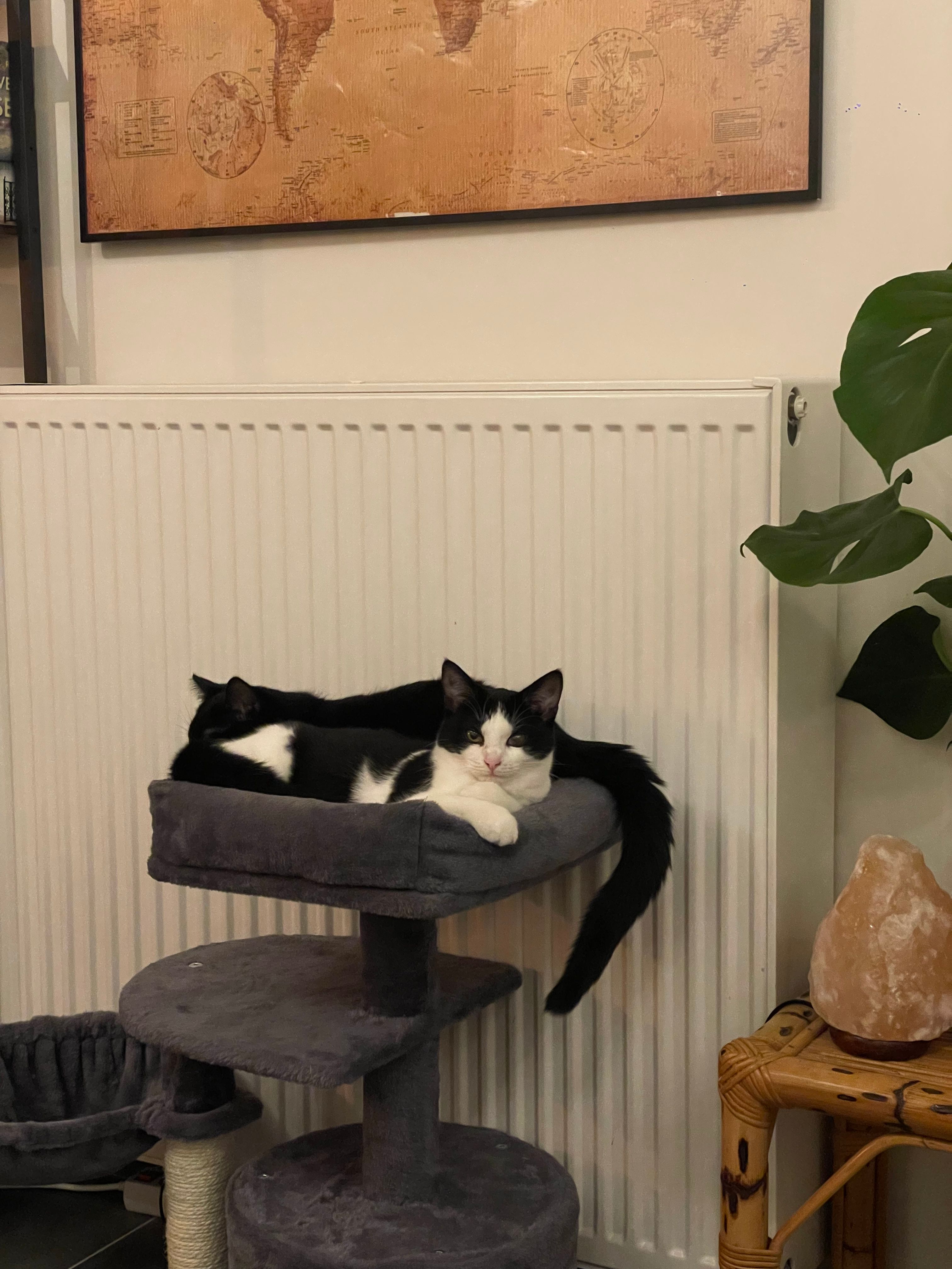 image-11