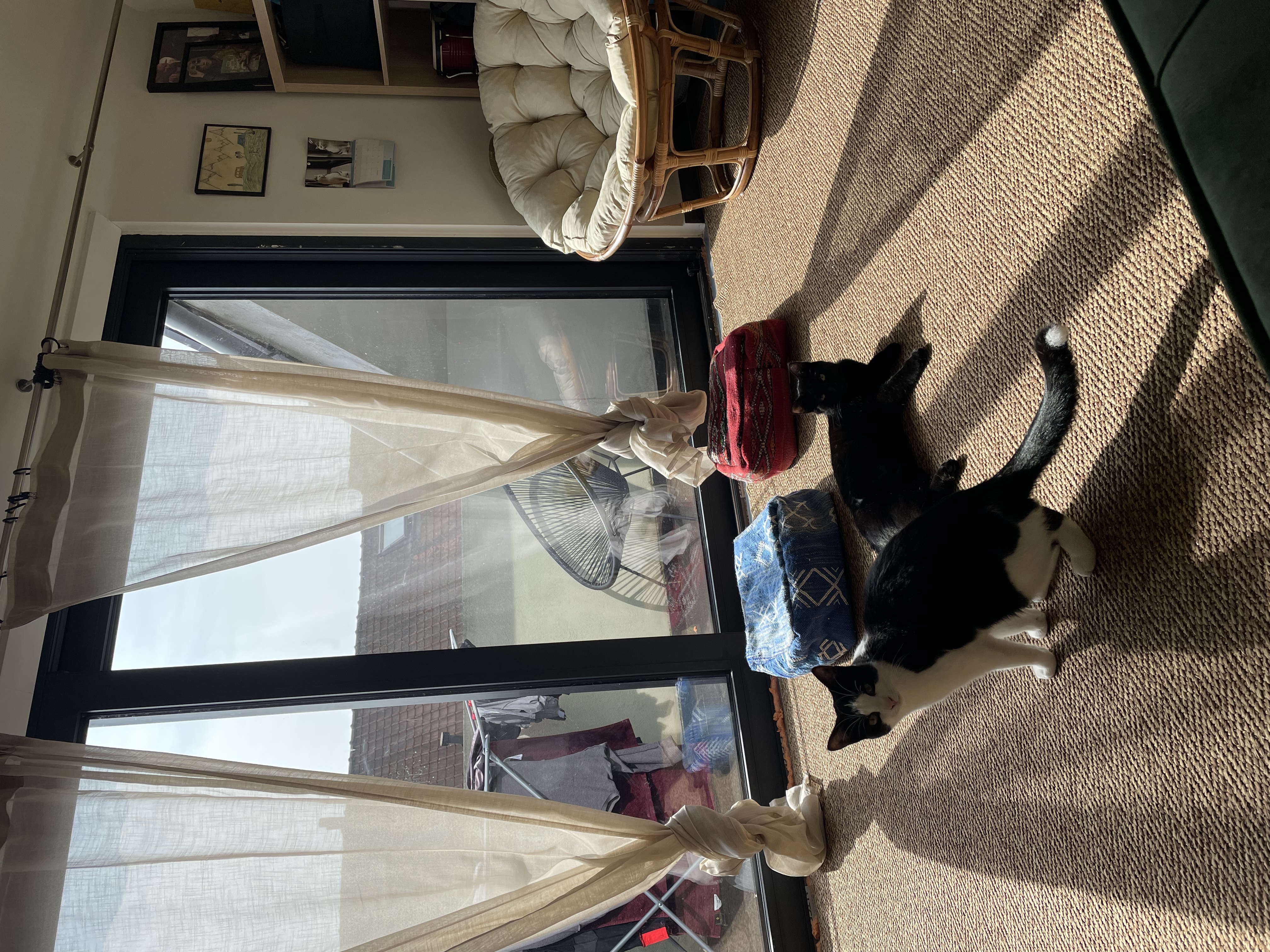 image-10