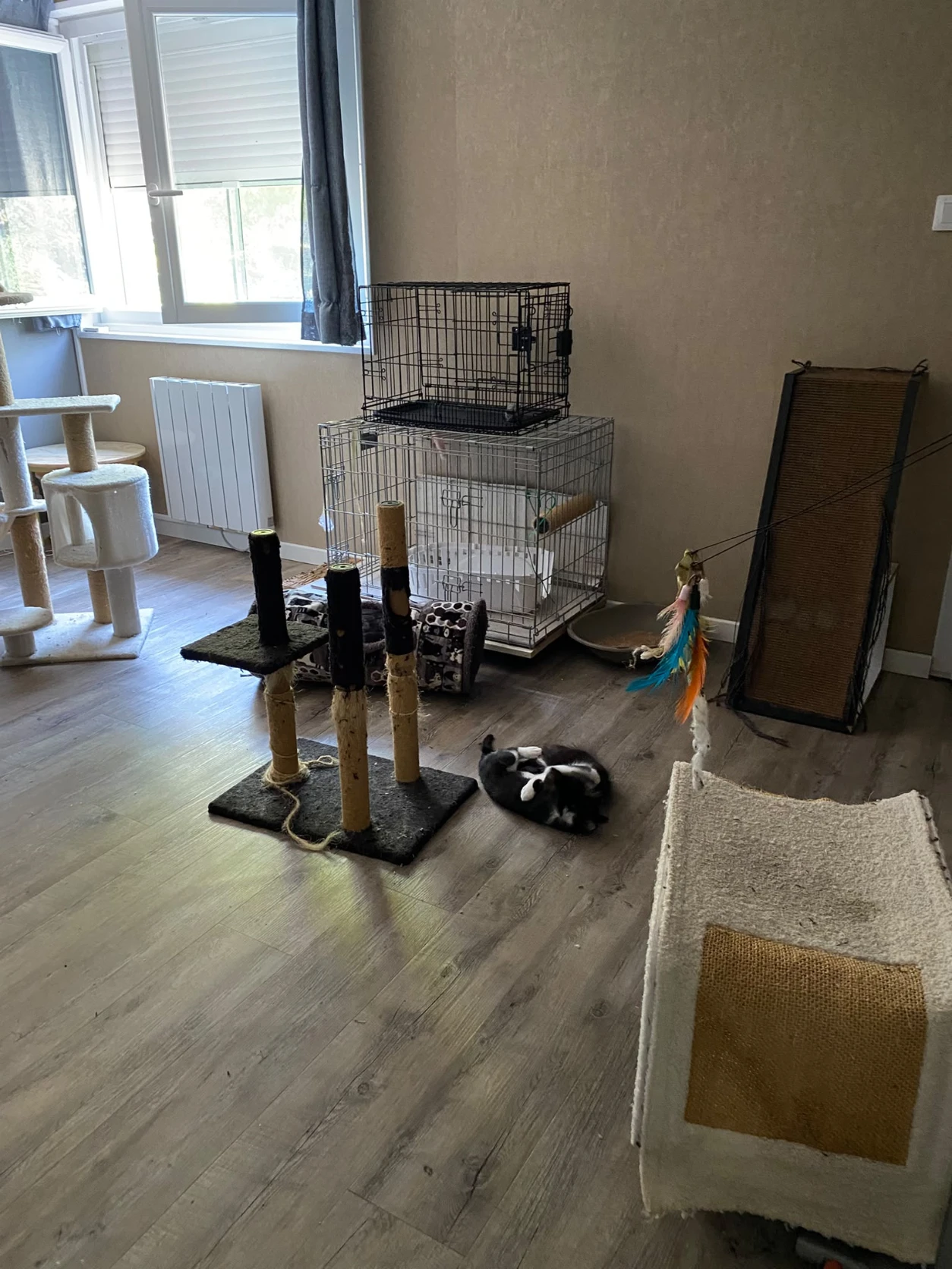 image-5