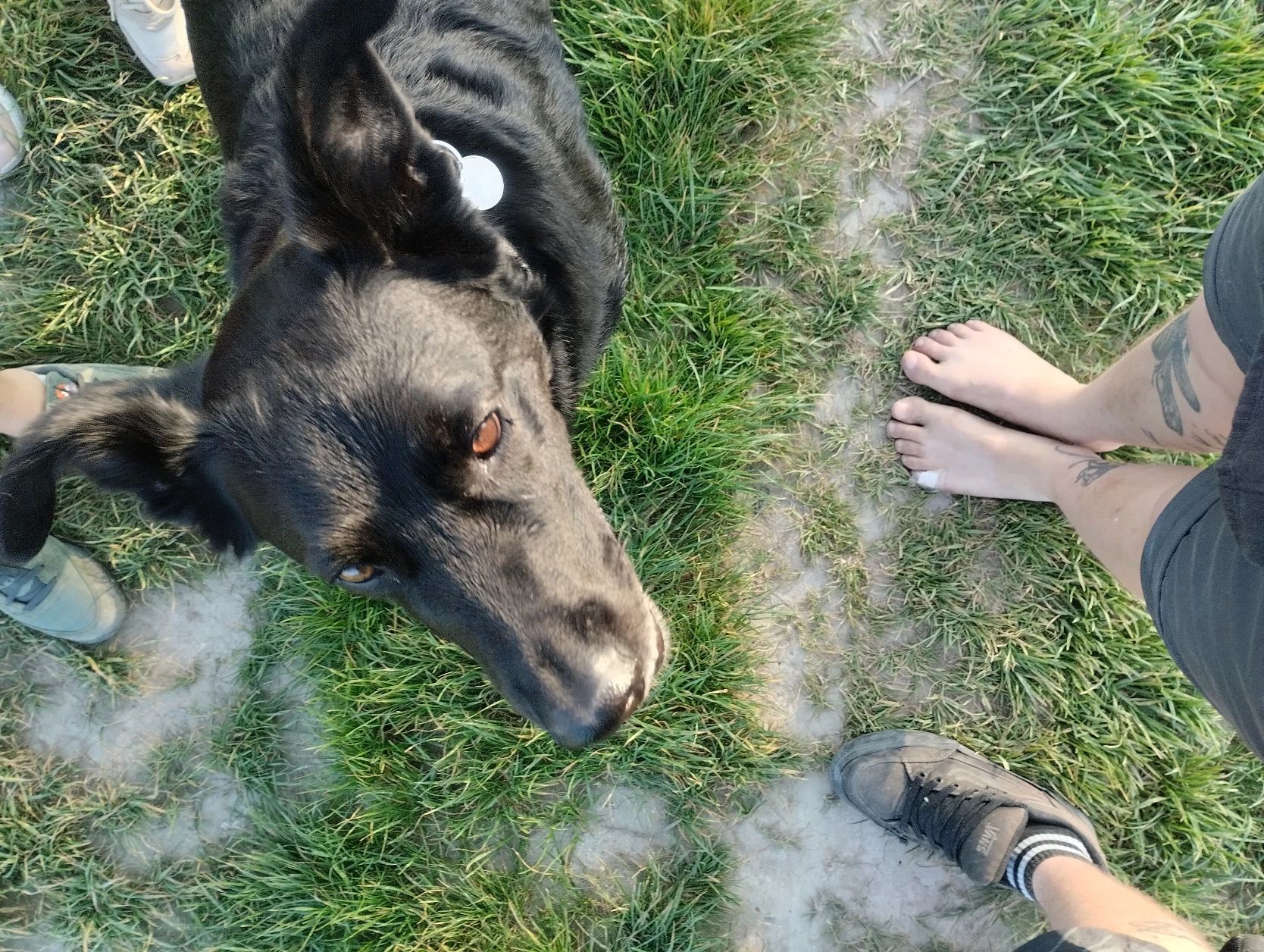 image-6