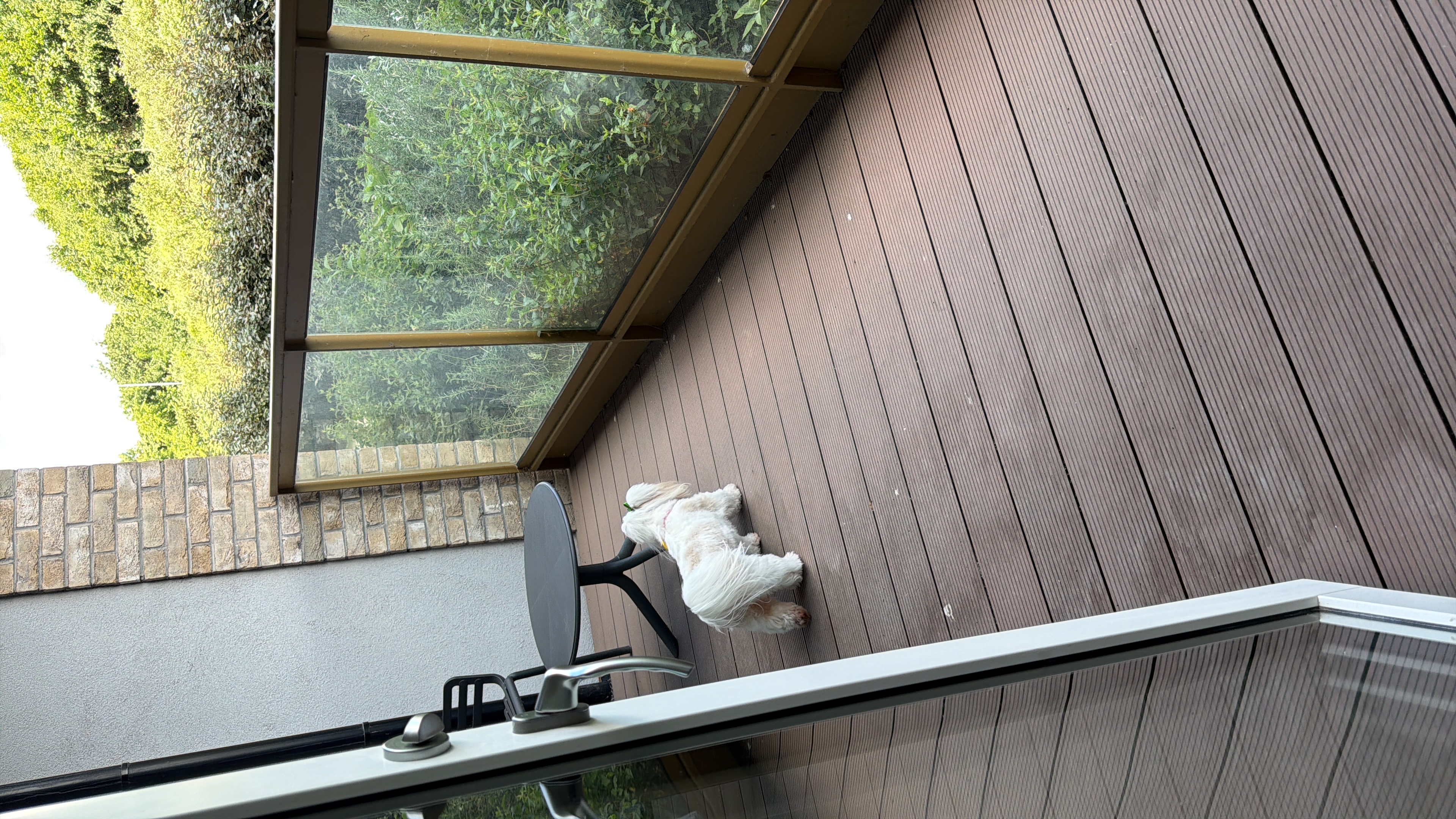 image-16