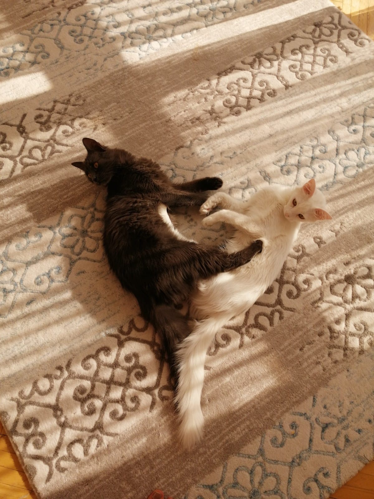 image-3