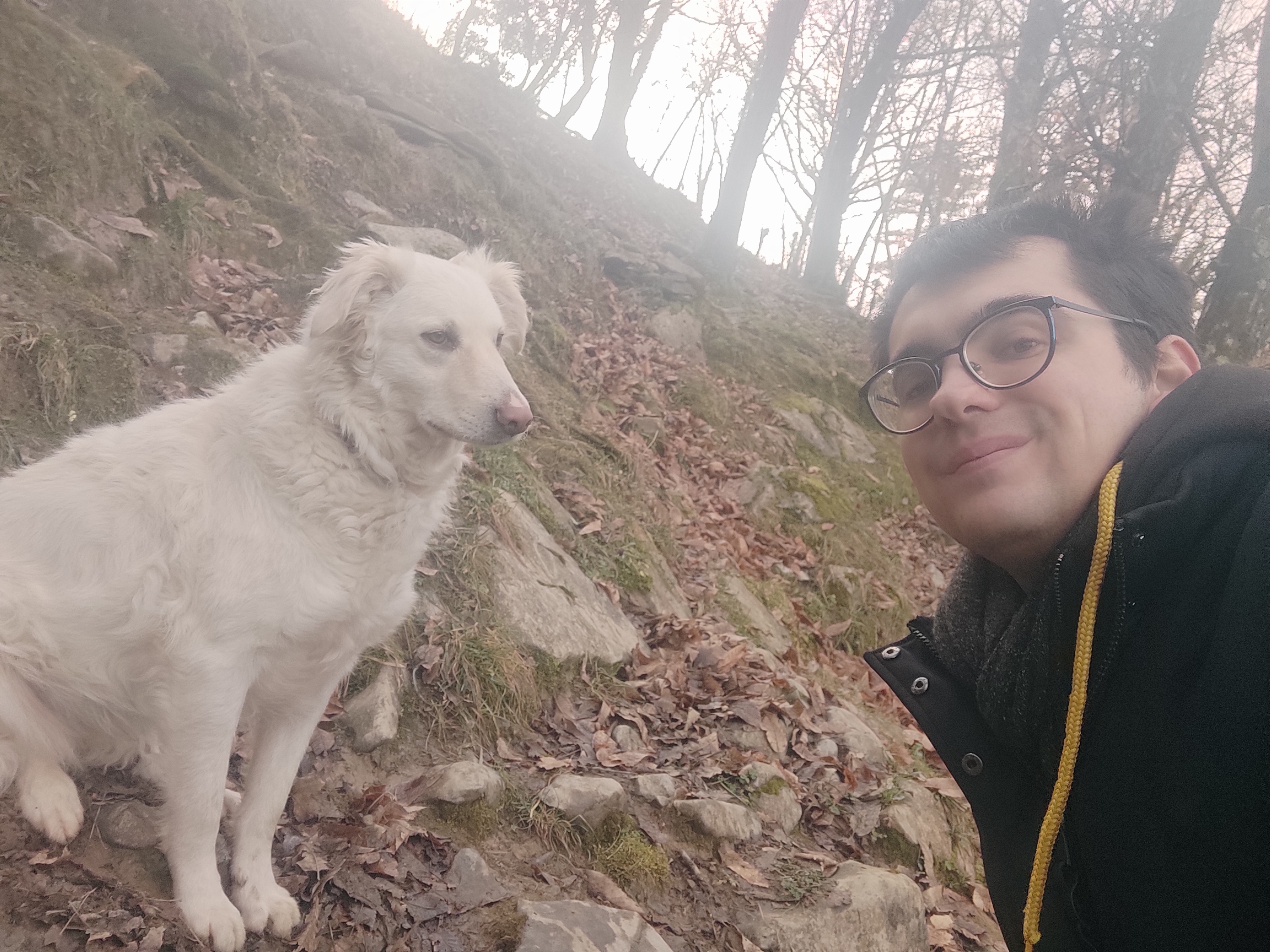 image-8