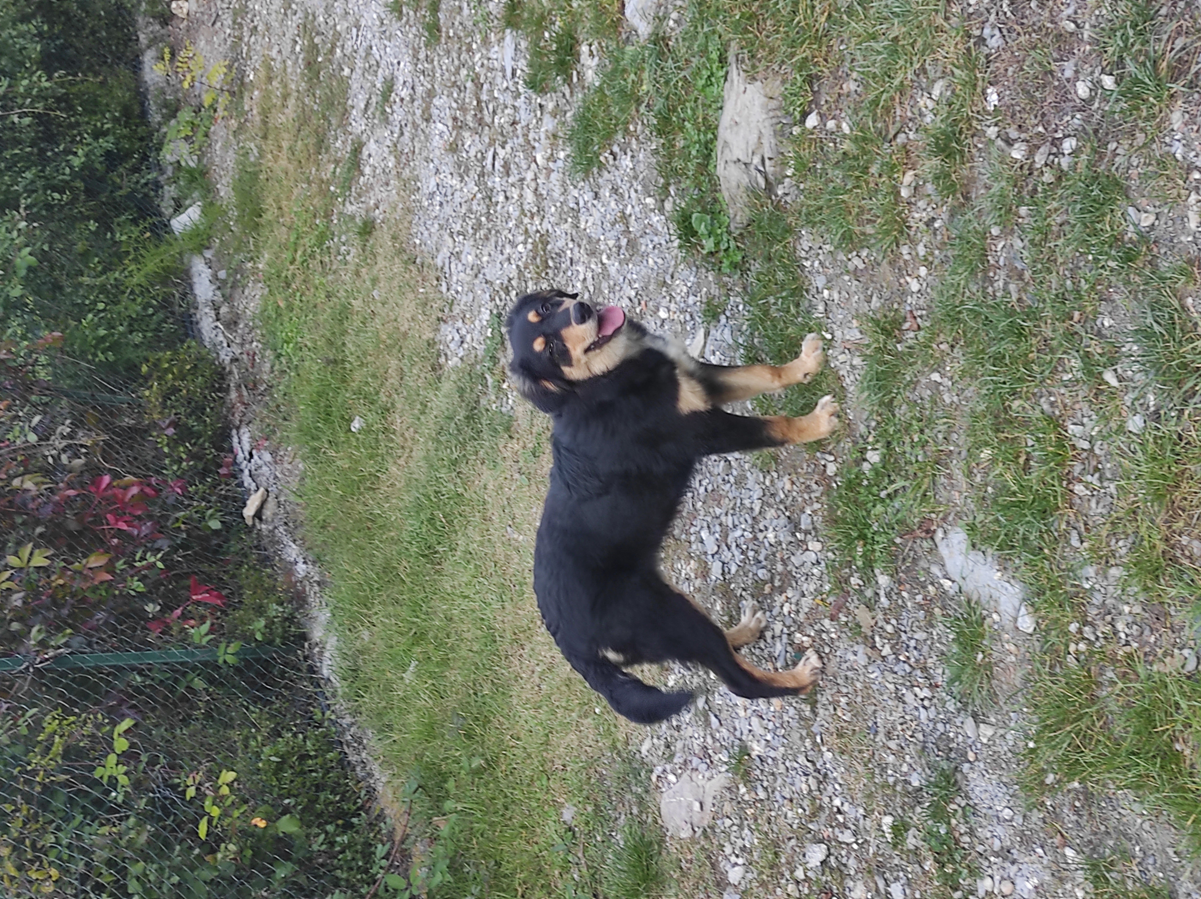 image-5