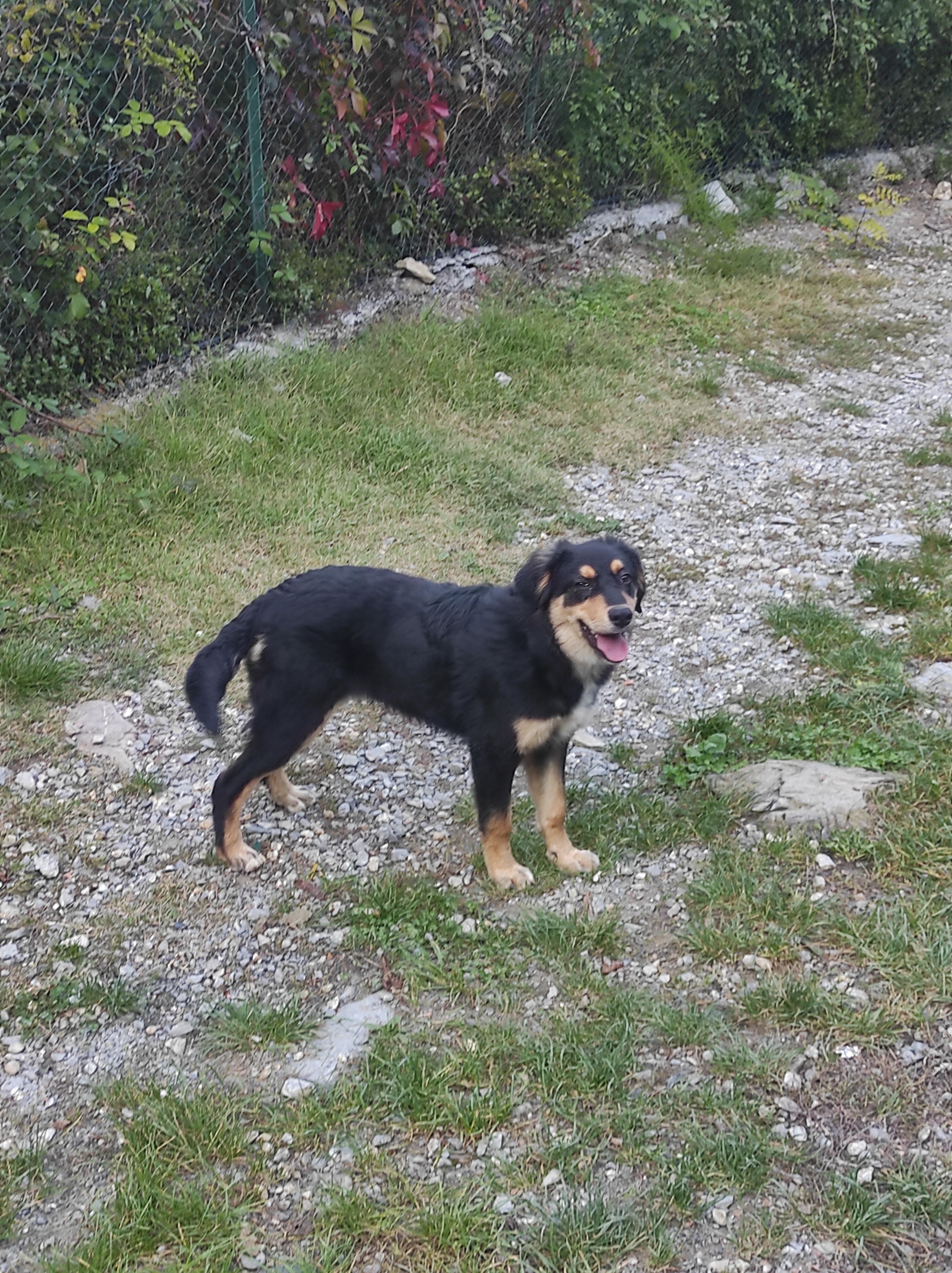 image-5