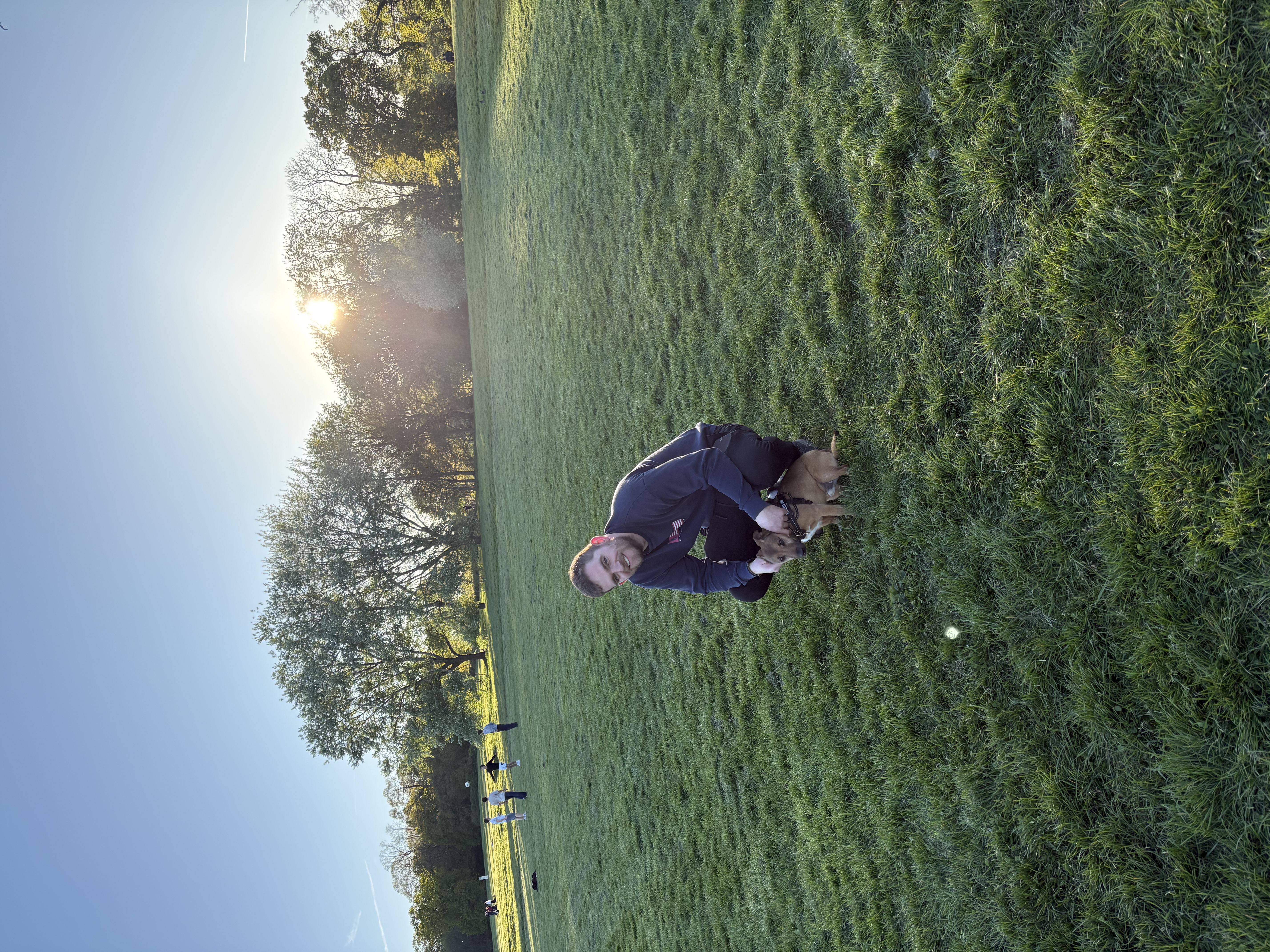 image-6