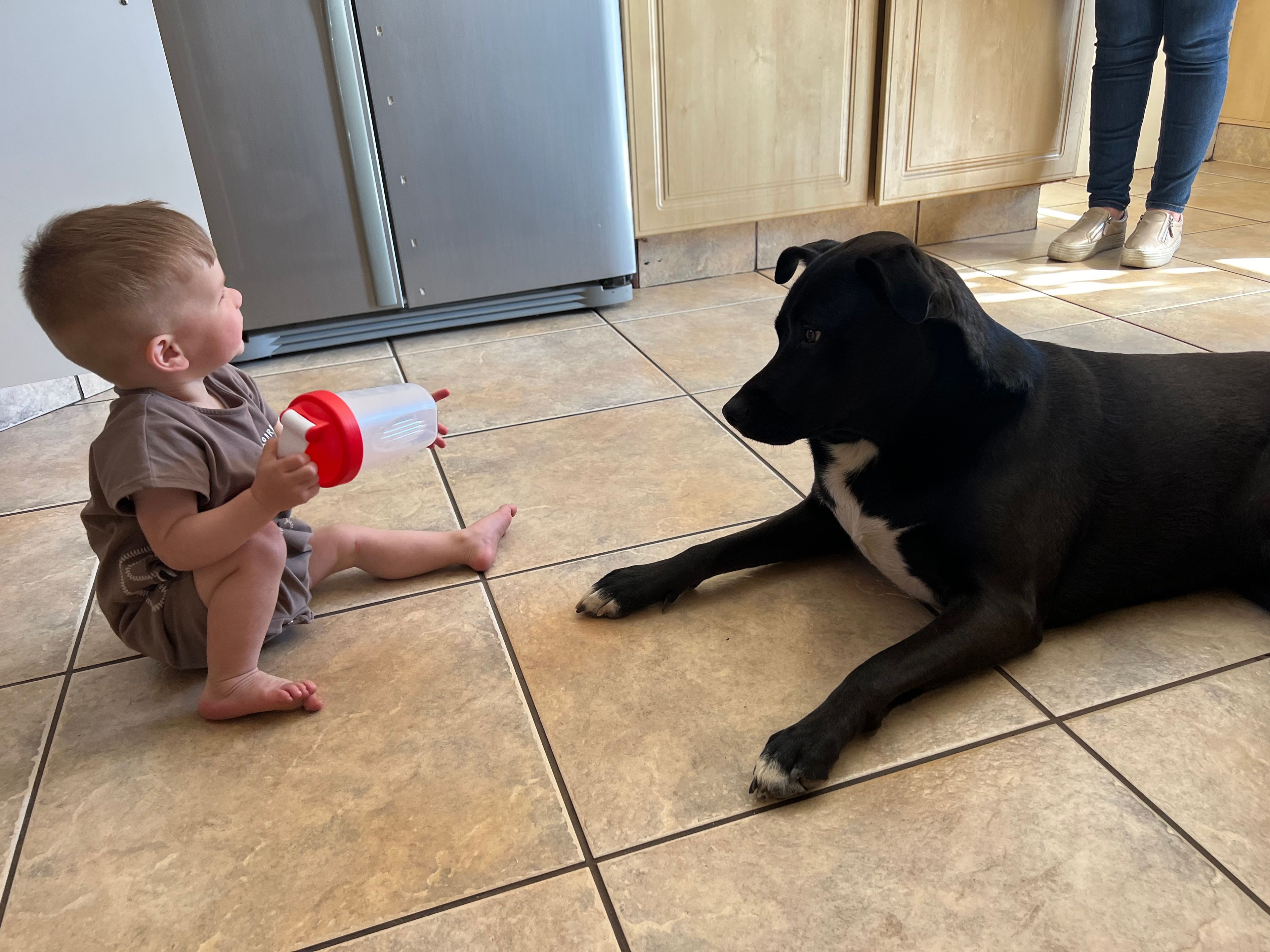 image-18