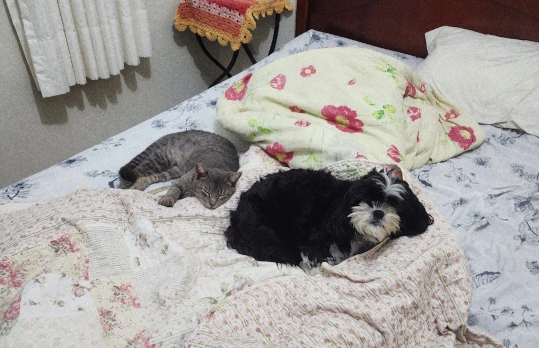 image-4