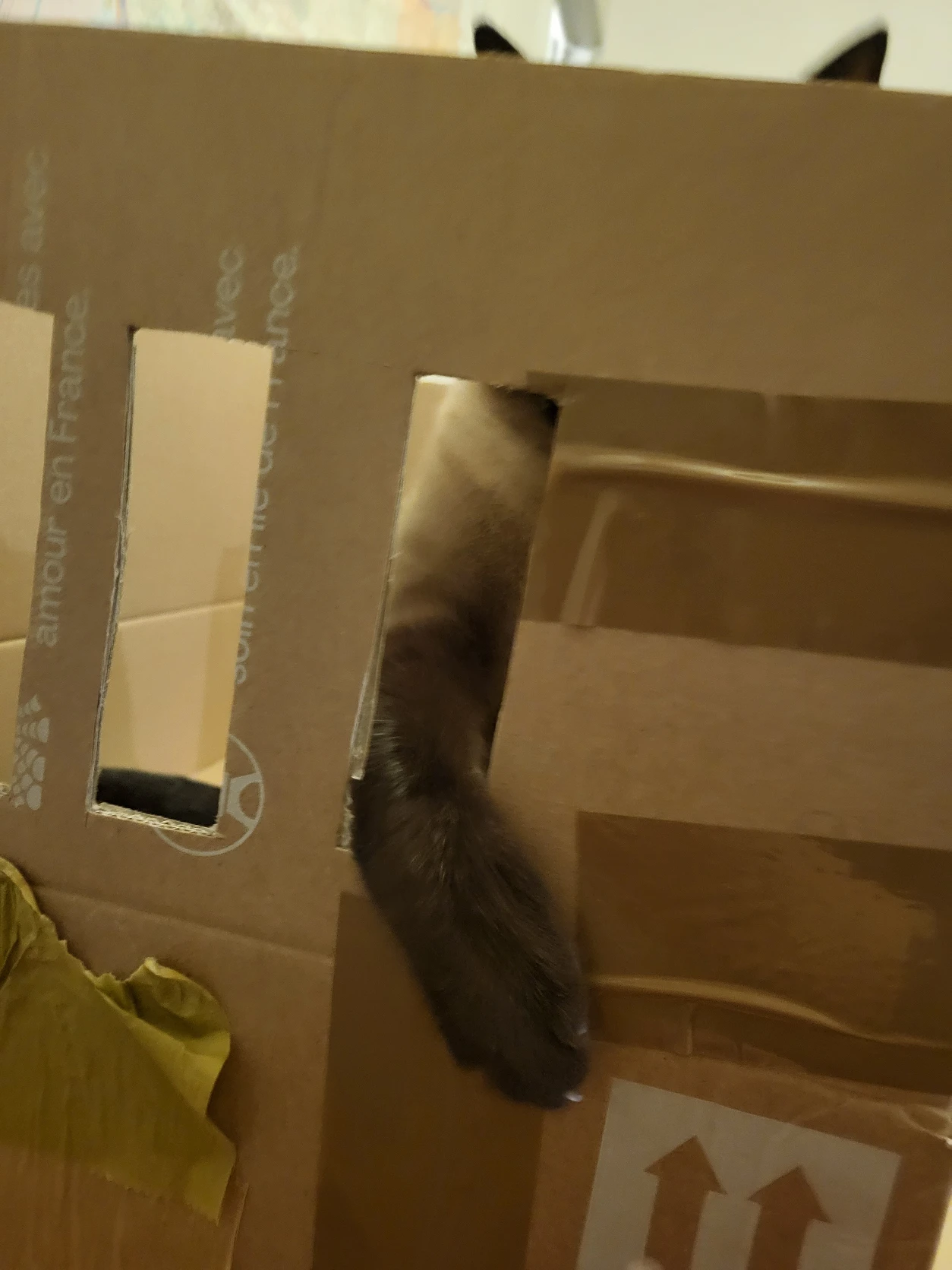 image-7