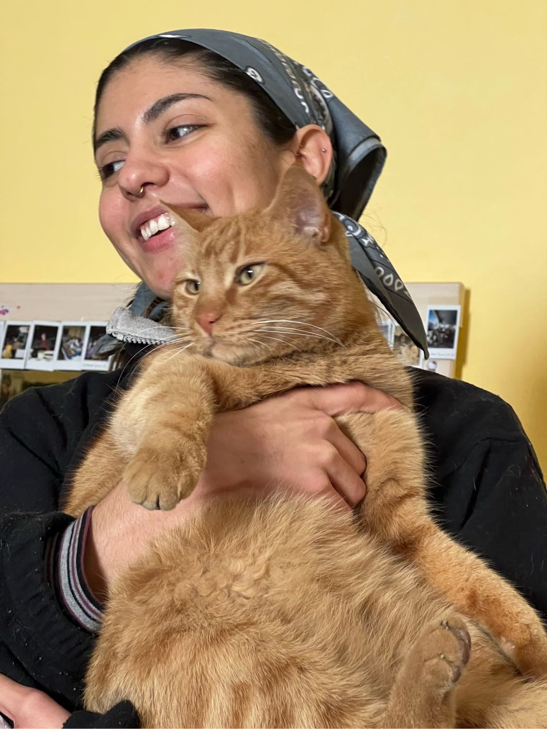 image-0
