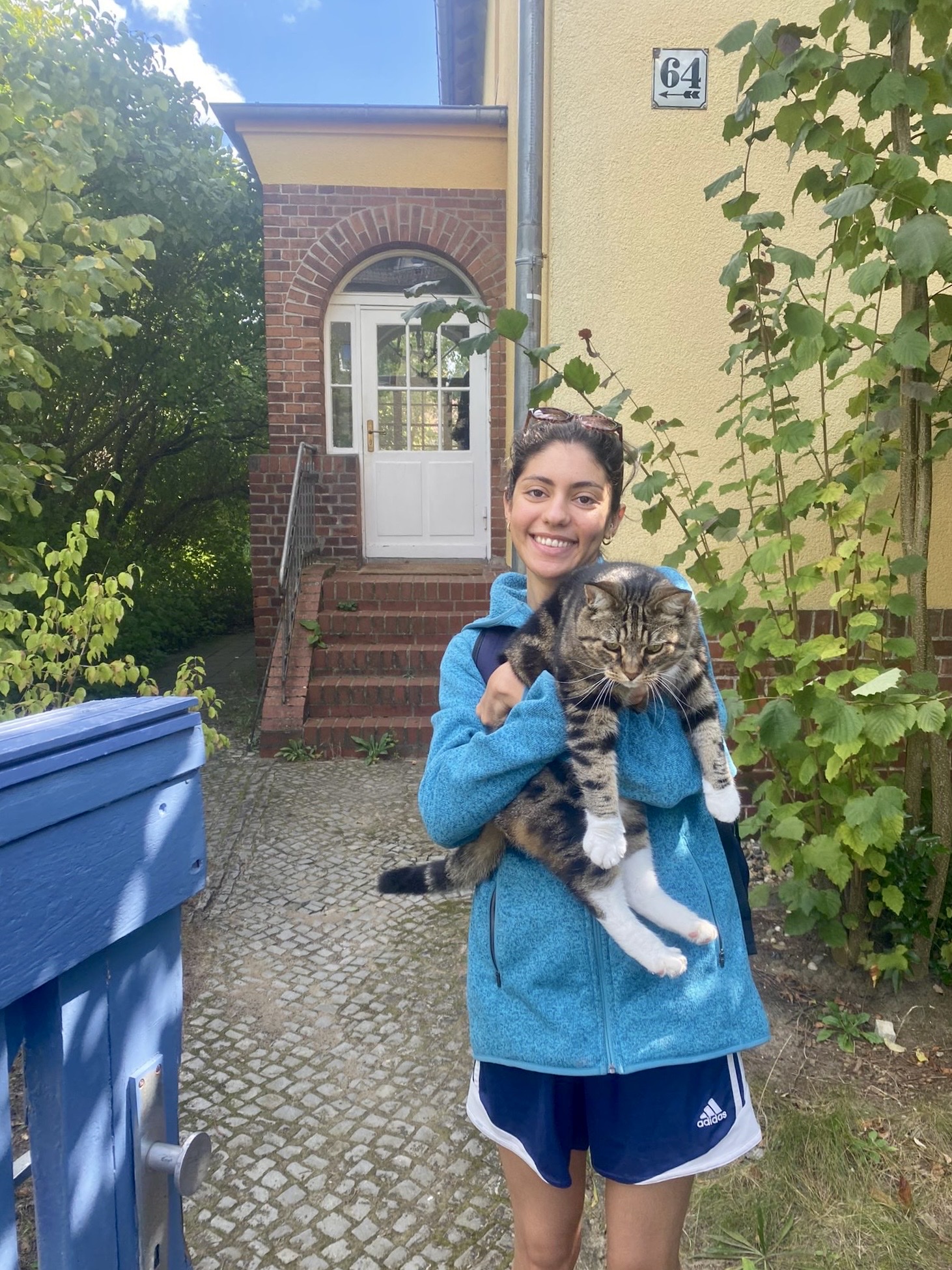 image-11