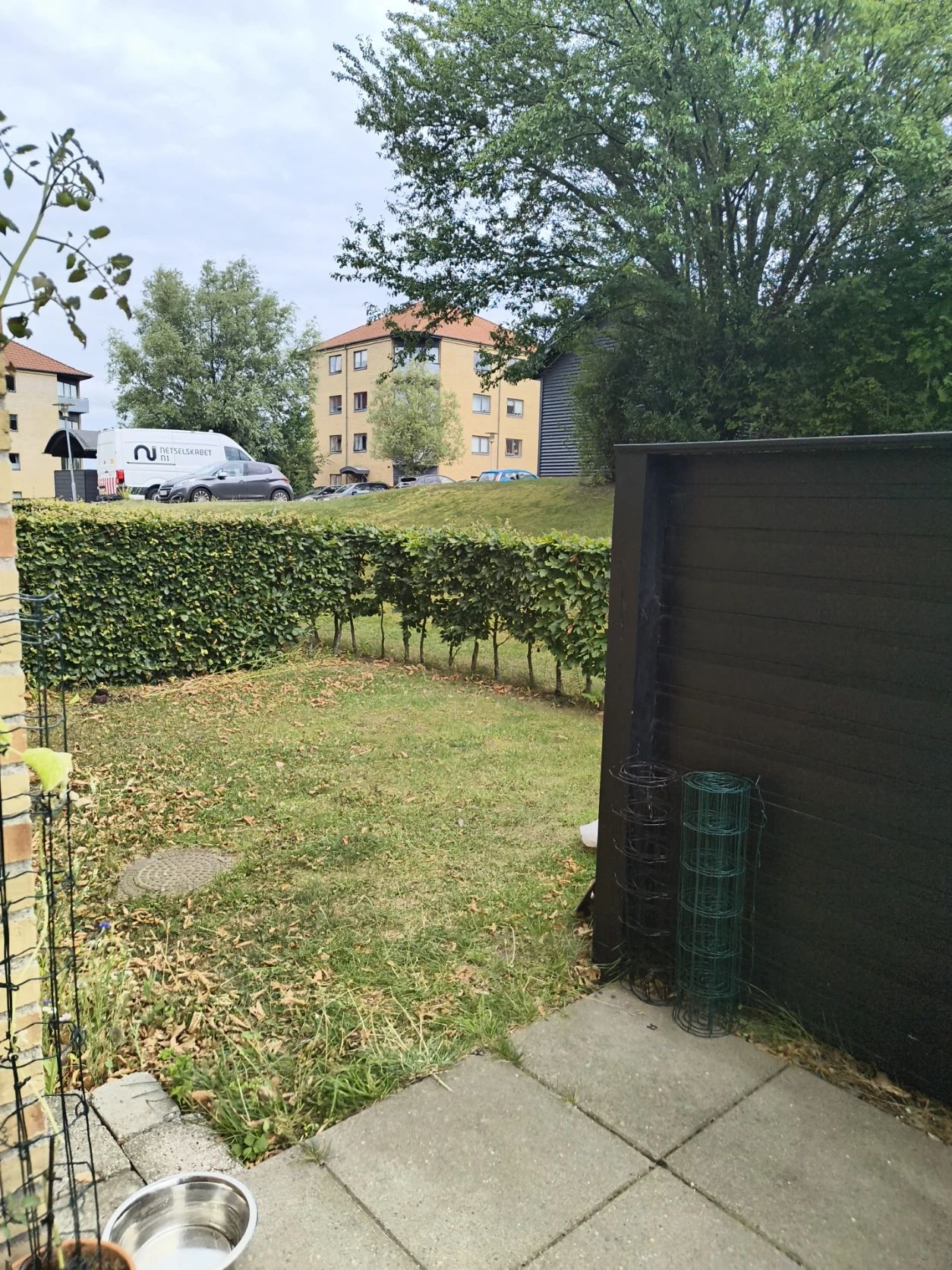 image-15