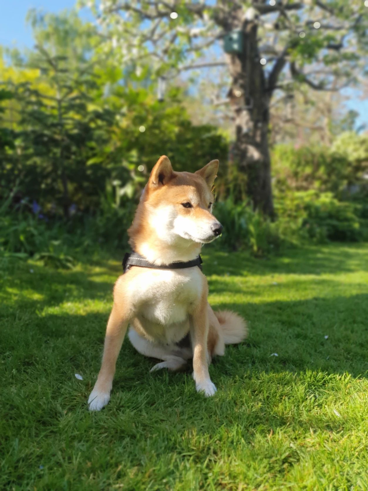 image-6