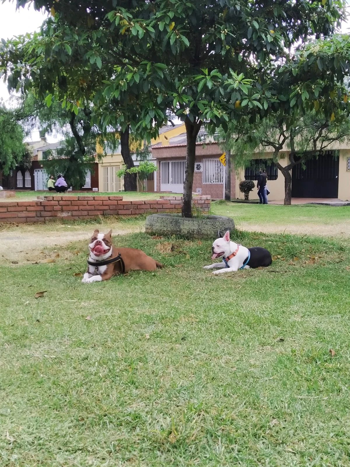 image-5