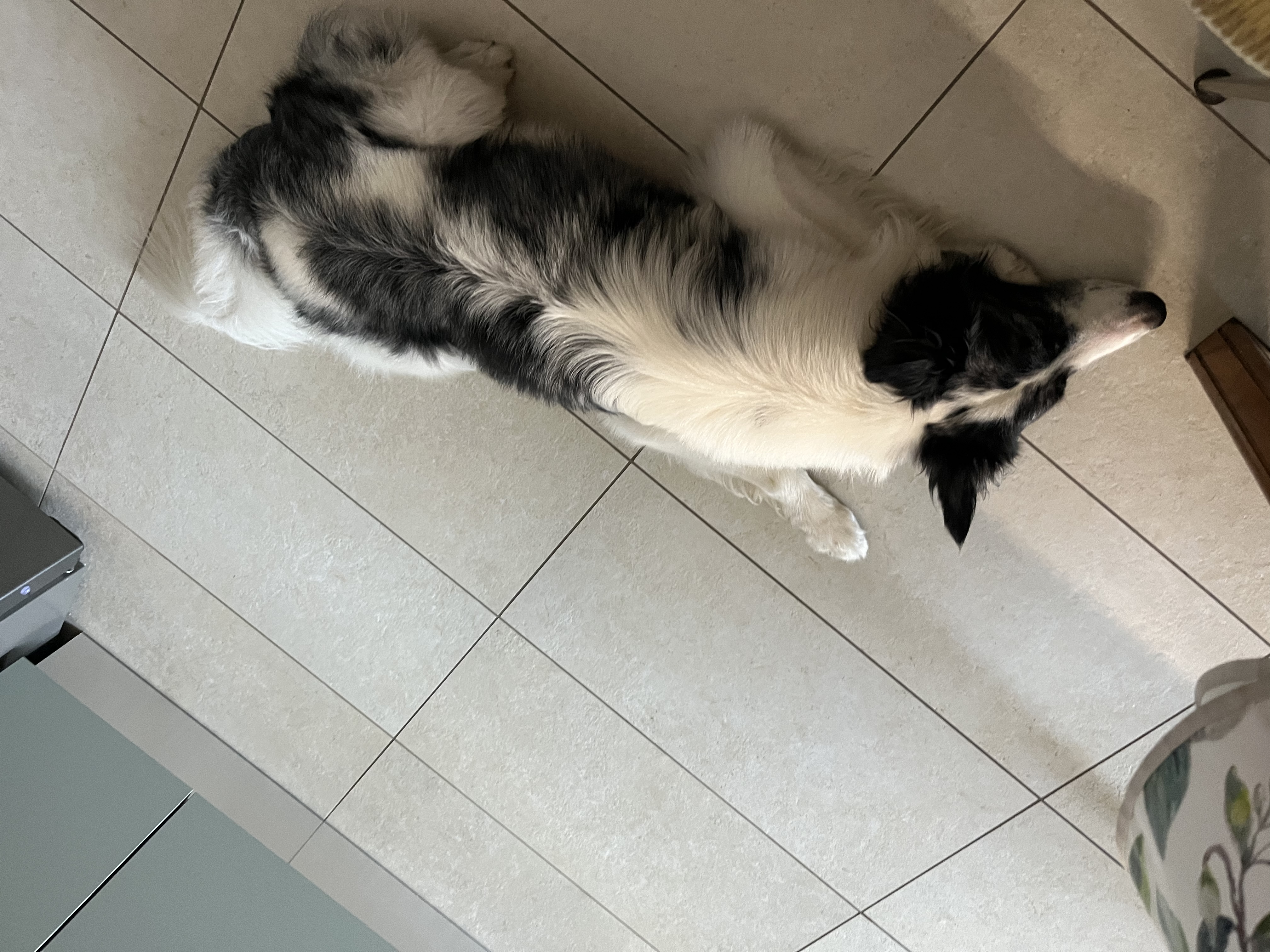 image-15