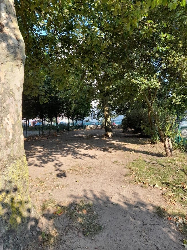 image-16