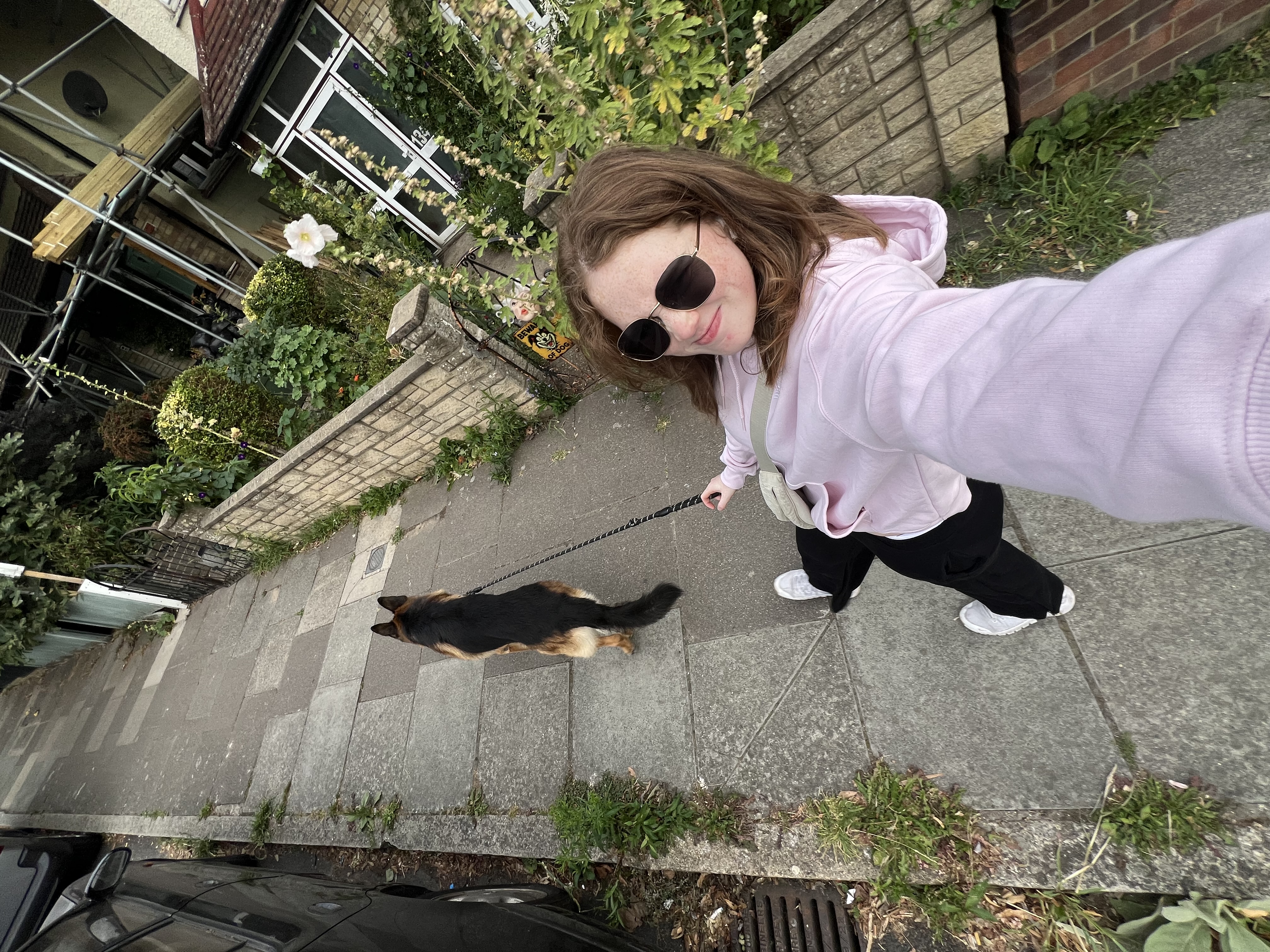 image-7