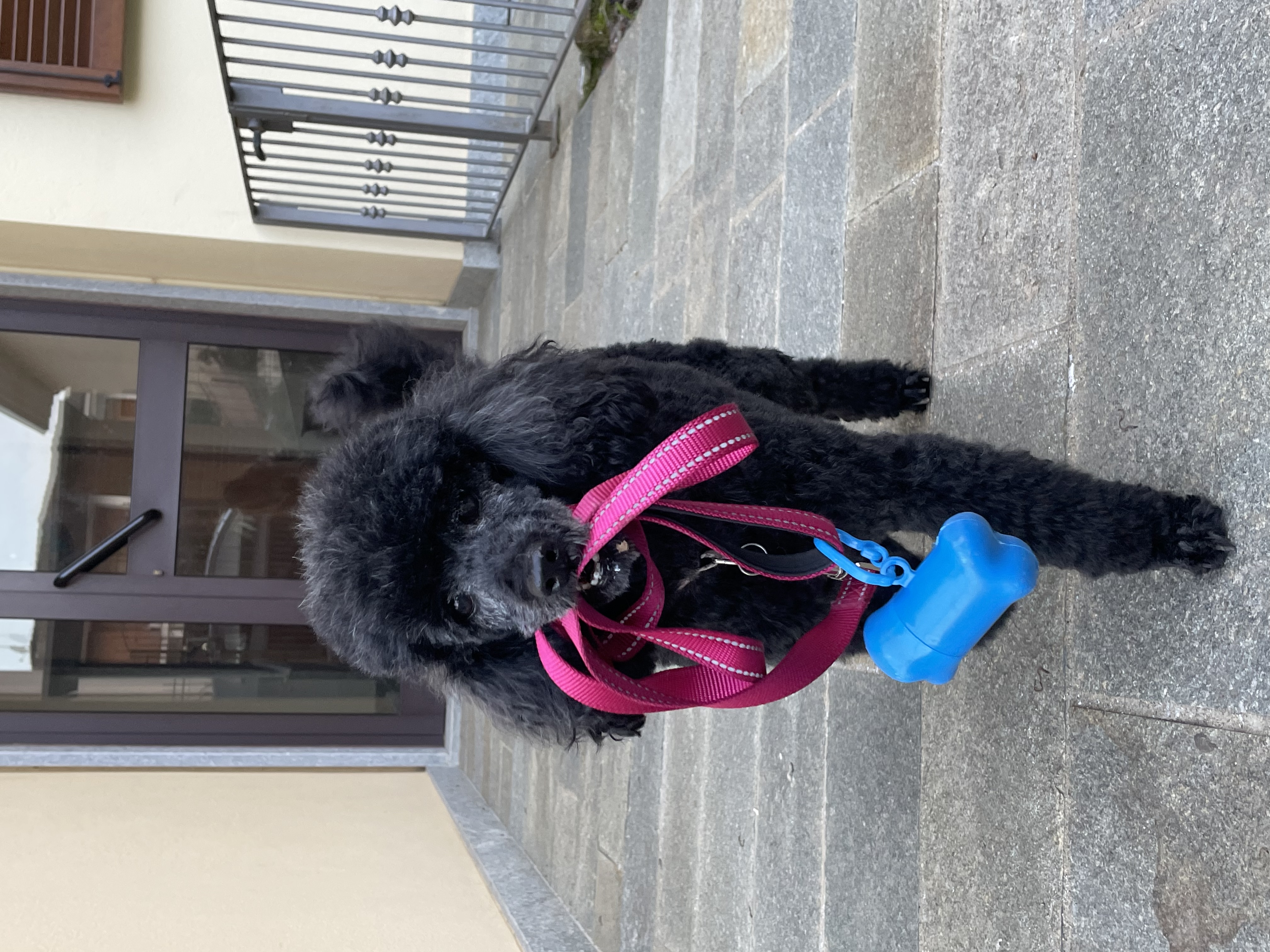 image-11