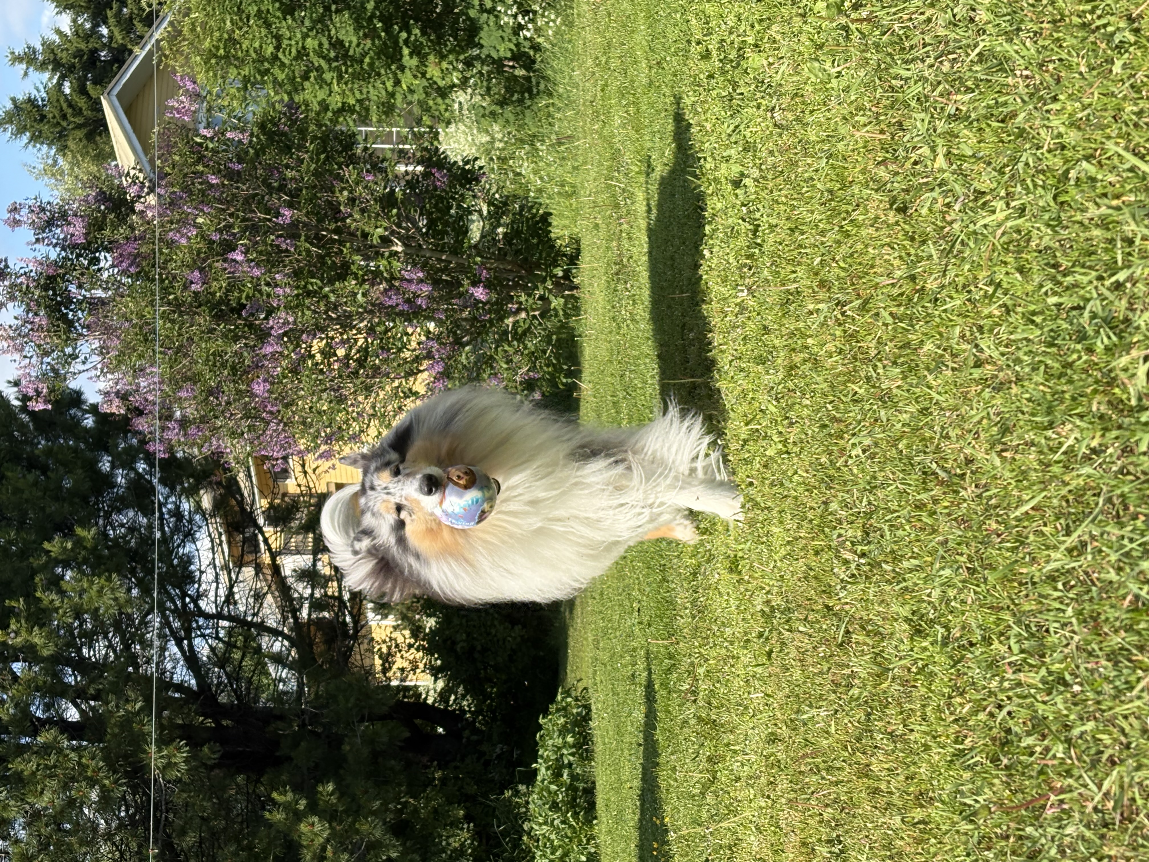 image-6