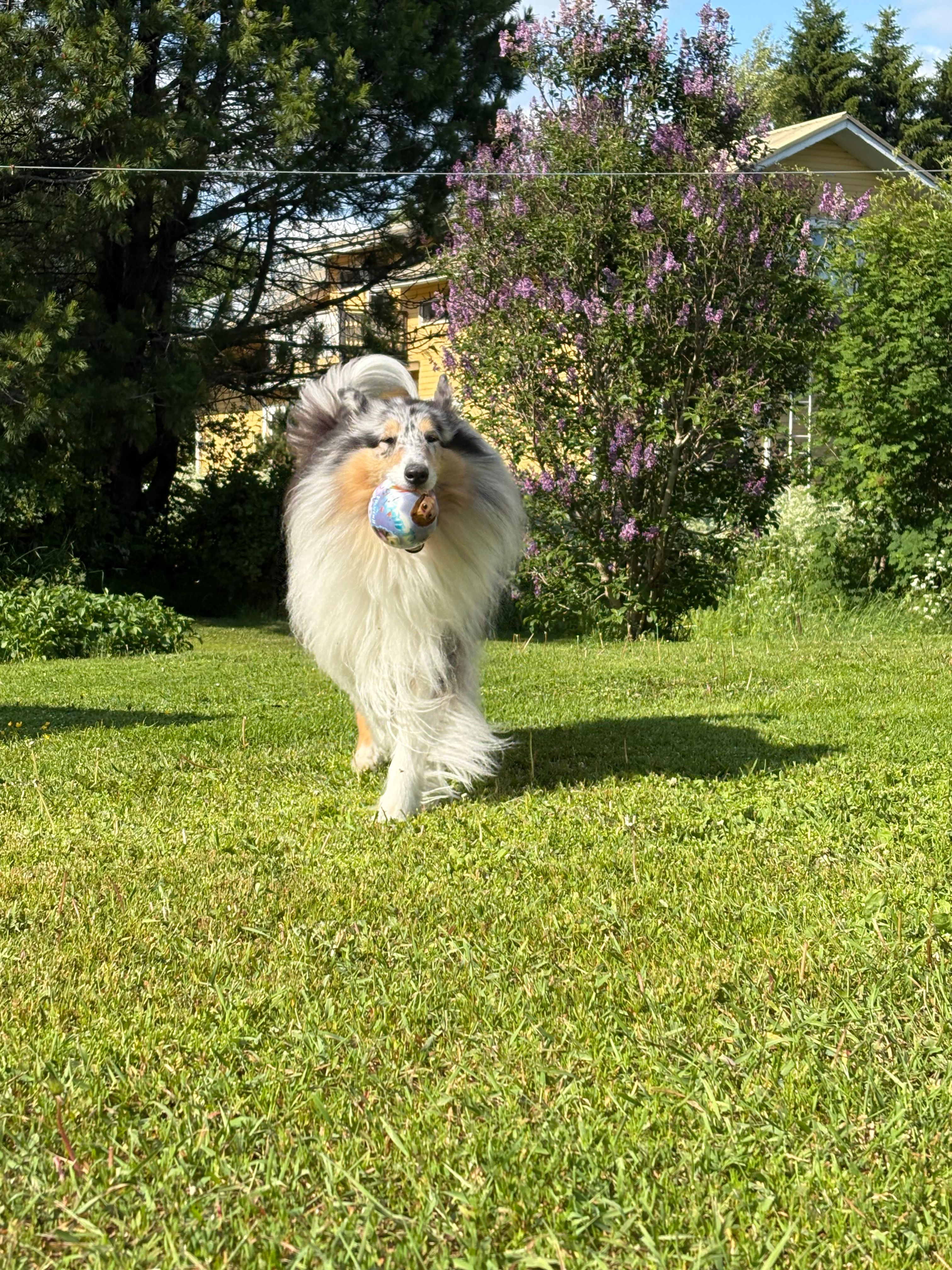 image-6