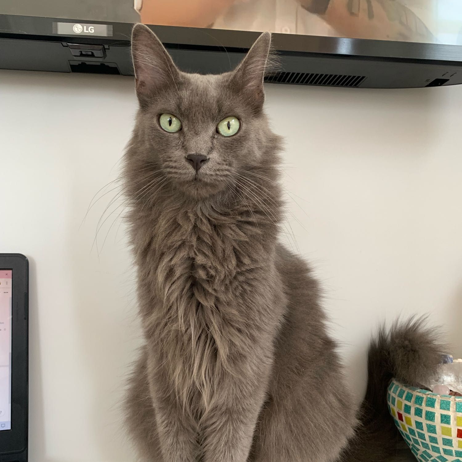 Oliver