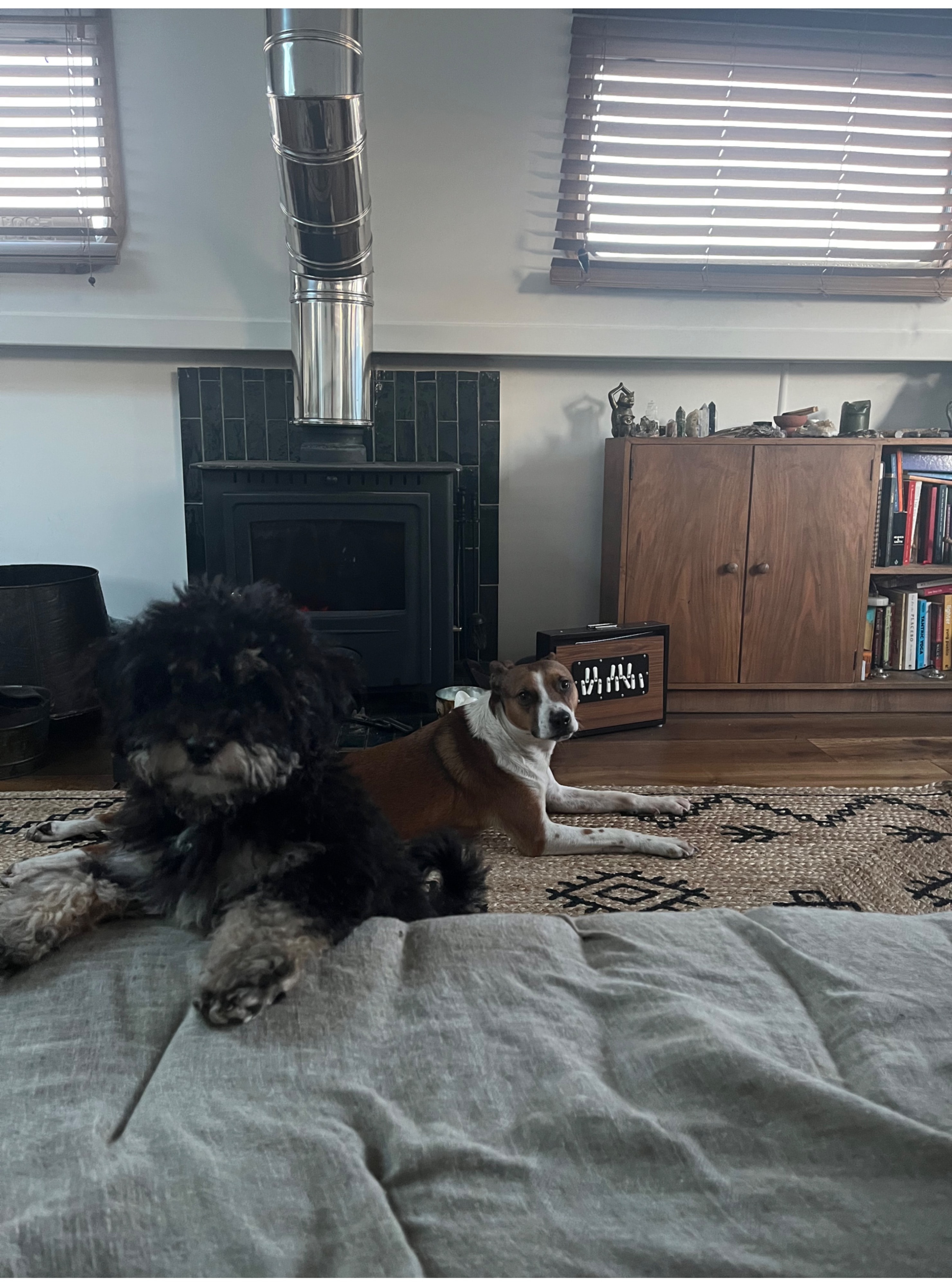 image-7