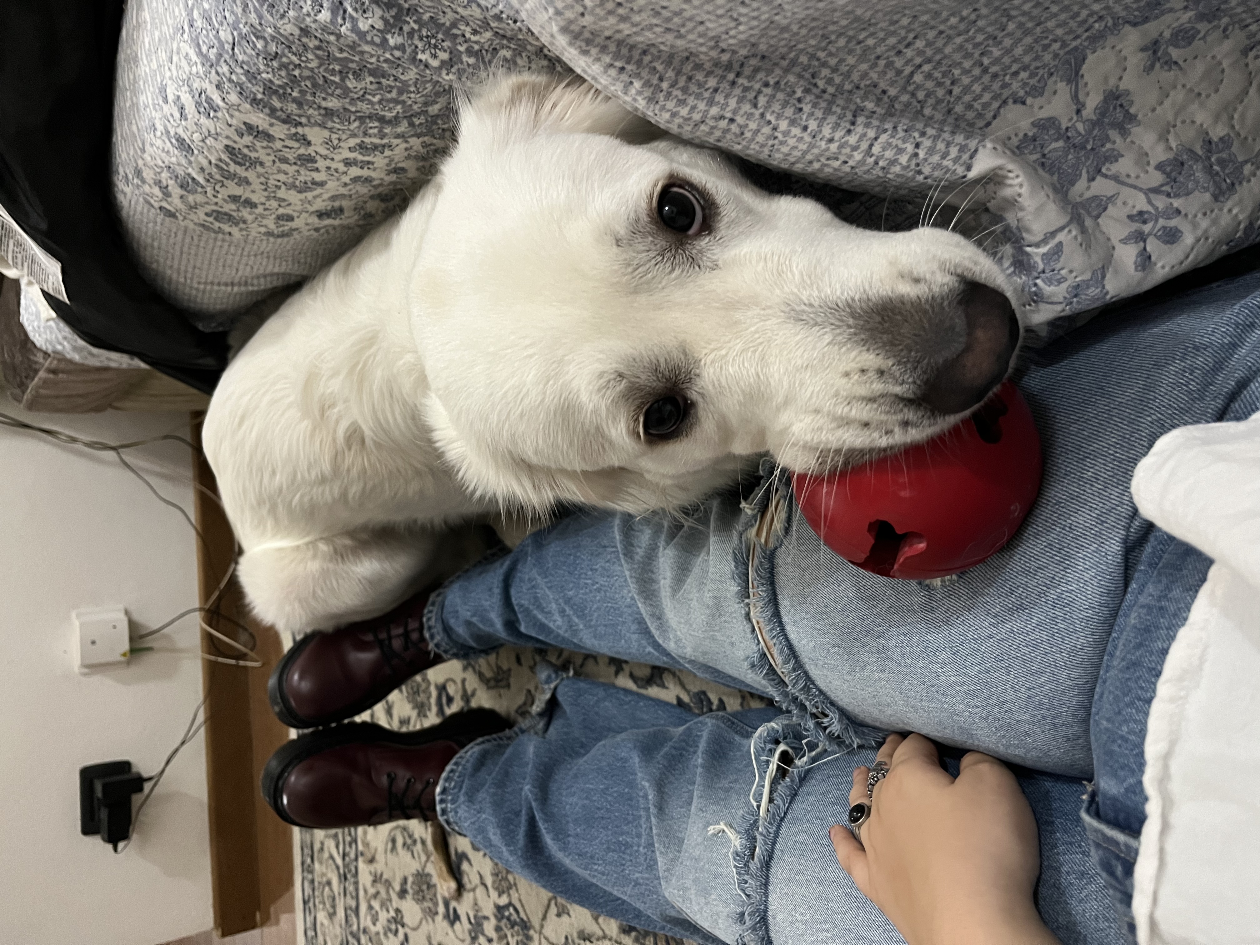 image-9
