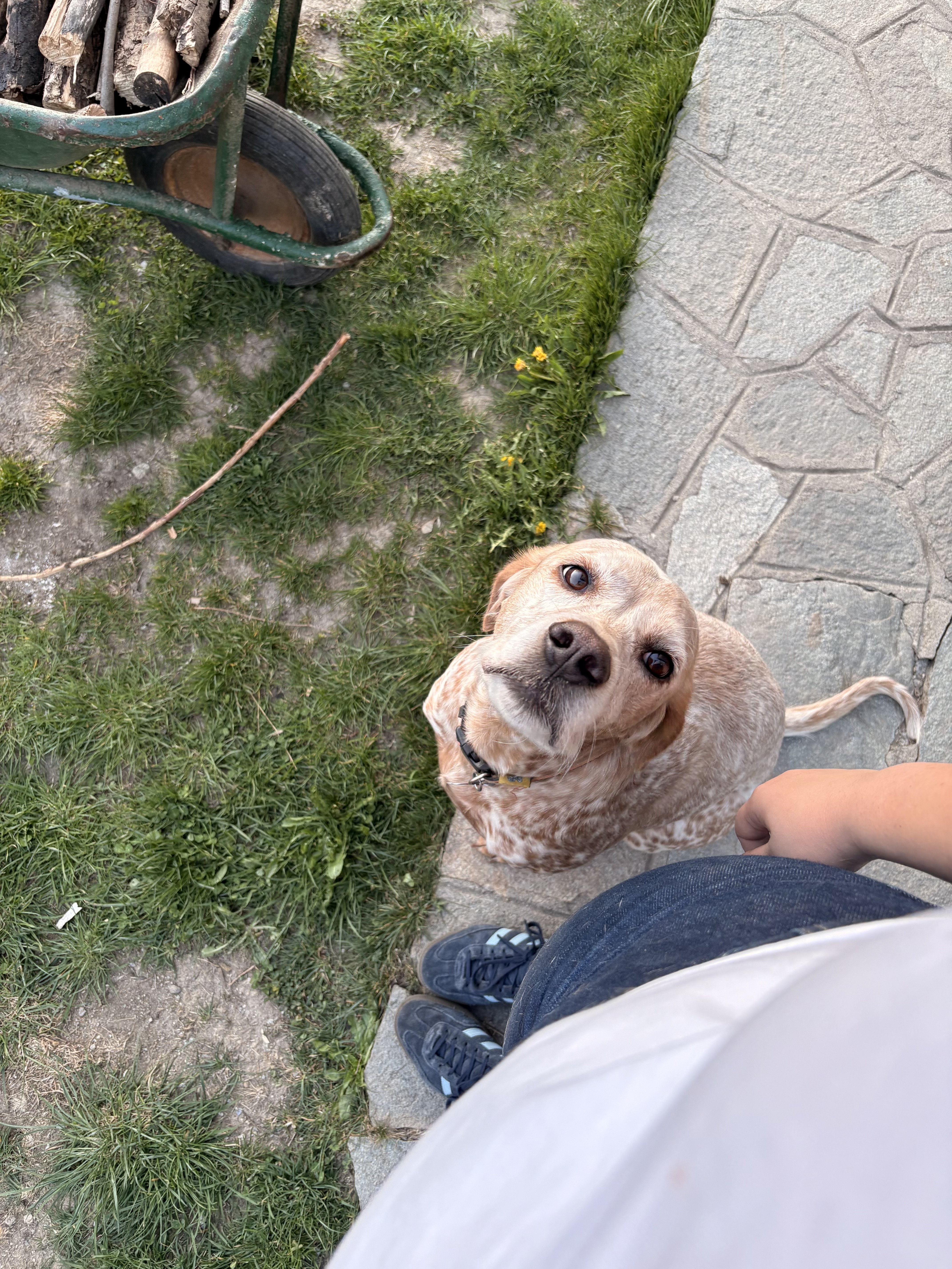 image-6