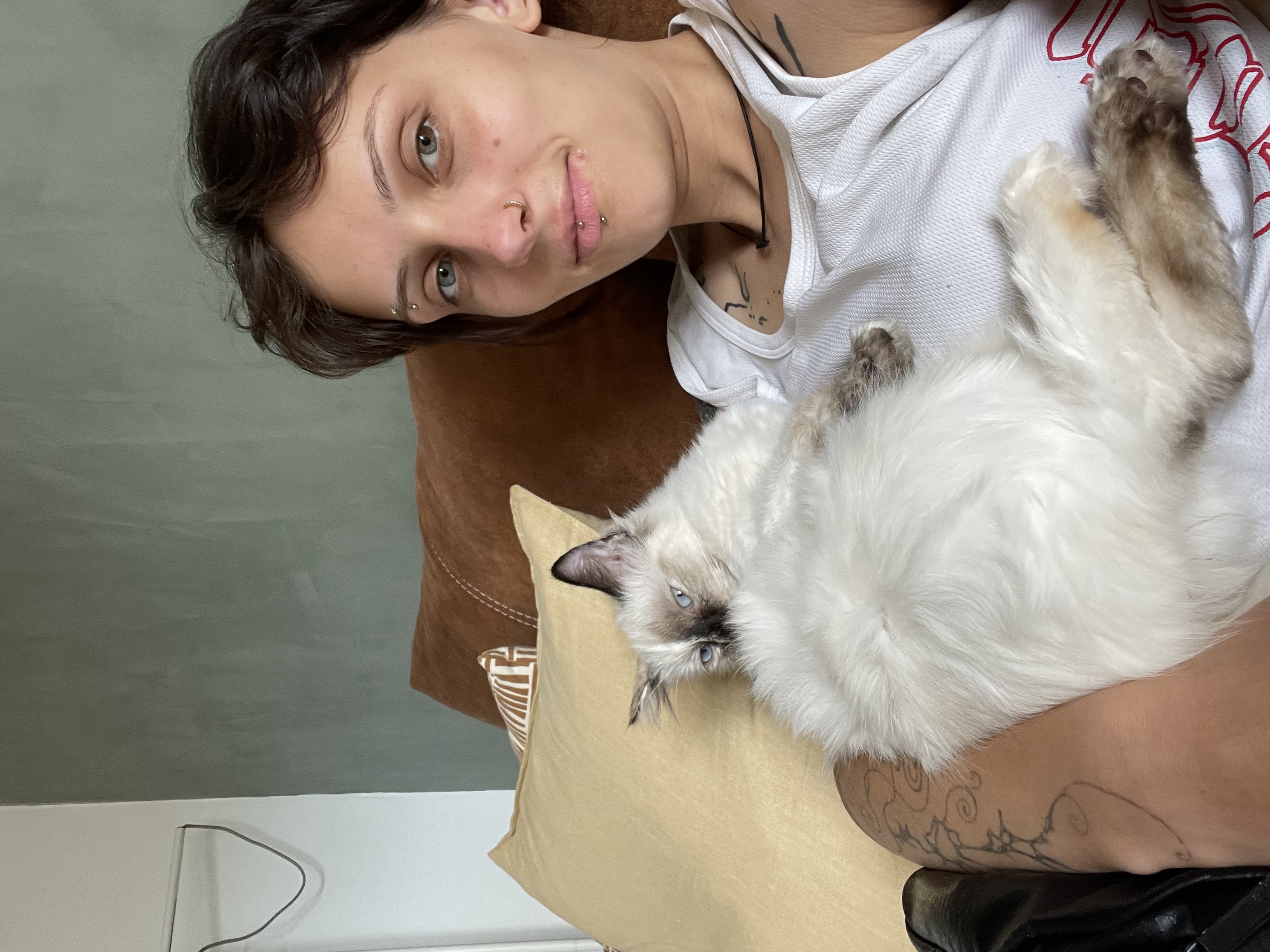 image-11