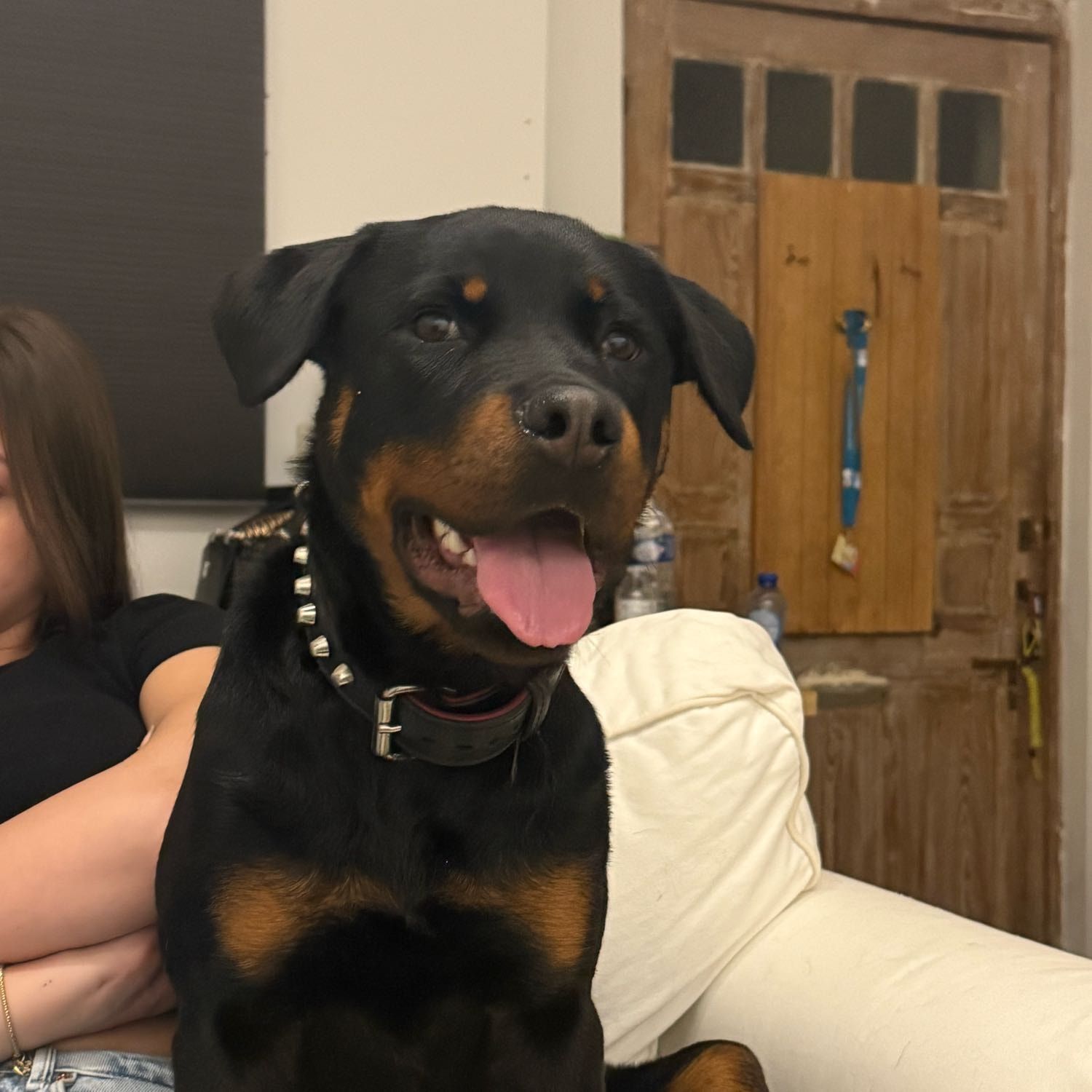 Laika