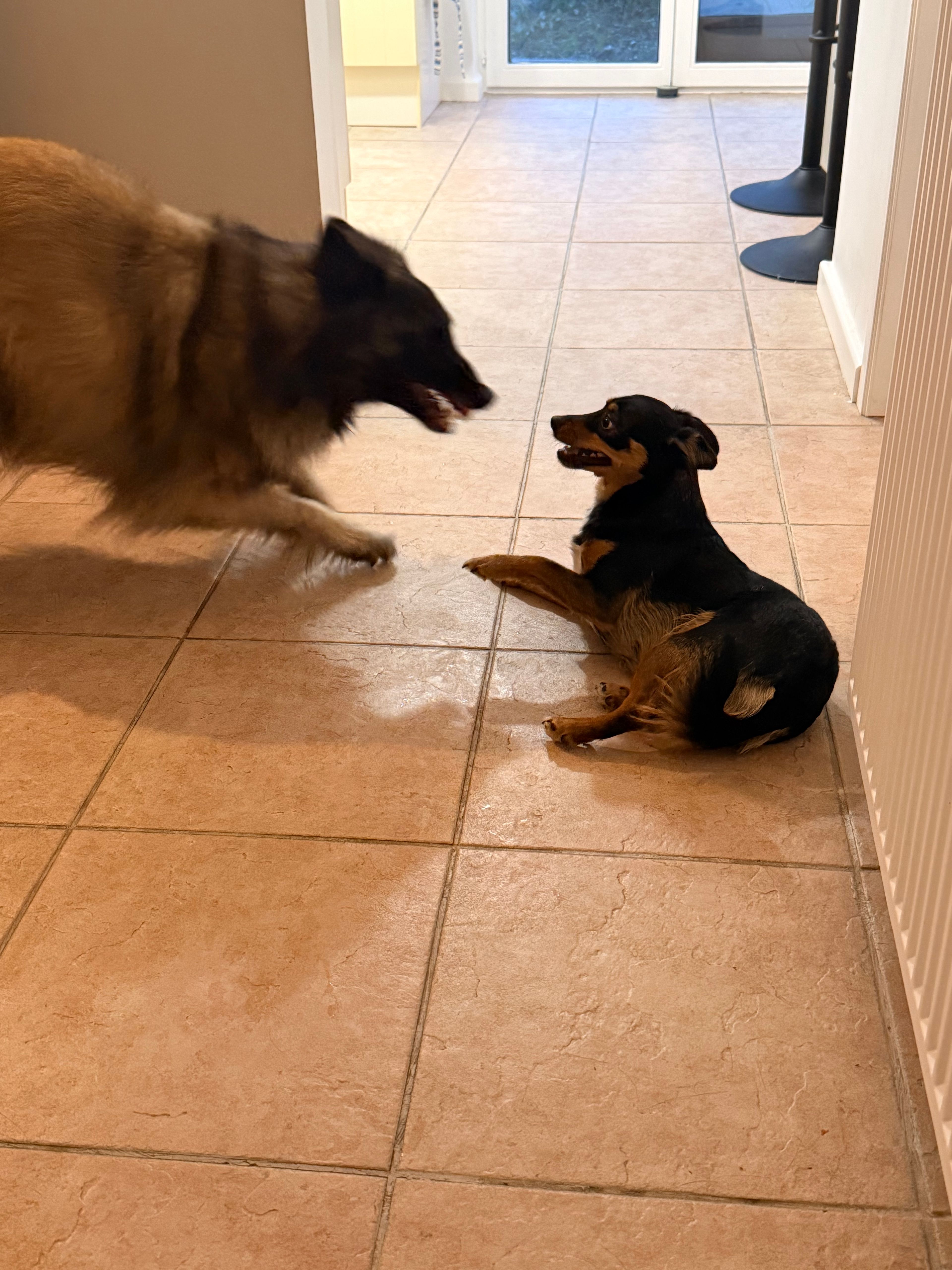 image-16